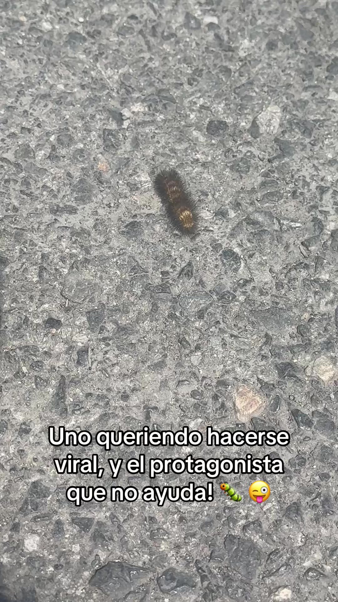 @Limna Soto