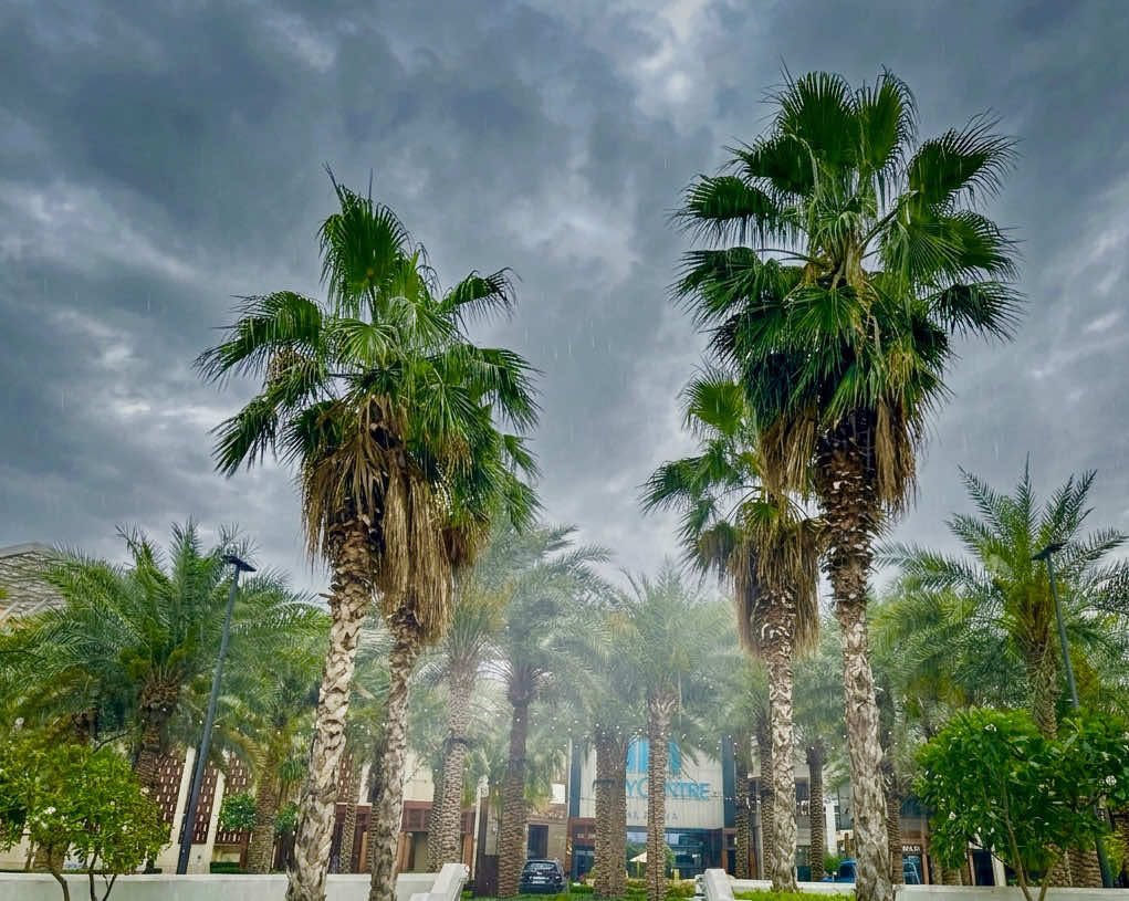 @thehammadgillani