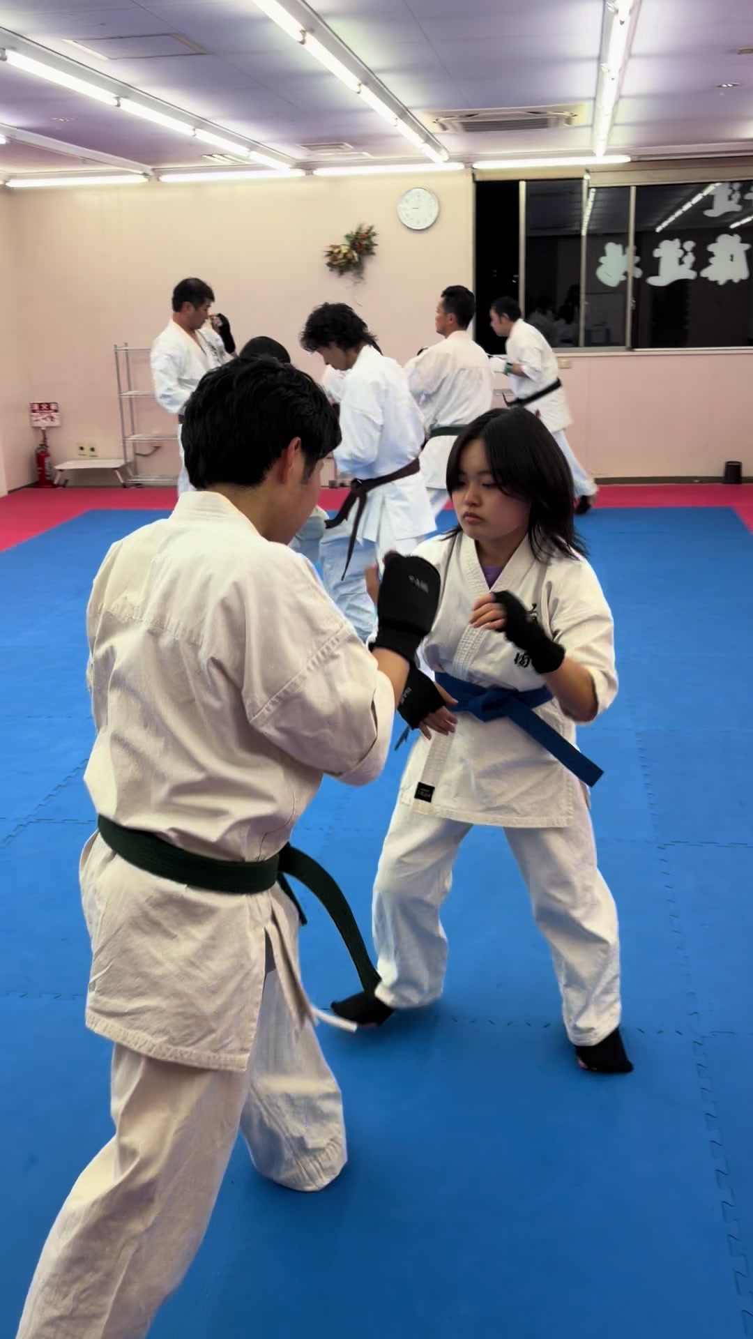 @kudodojo