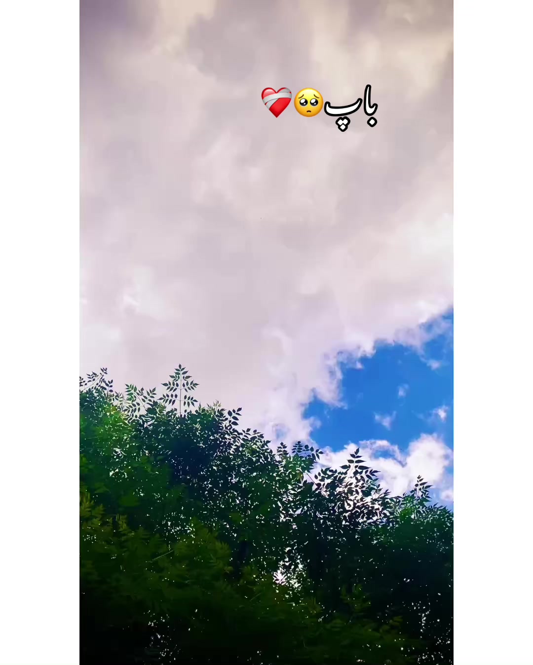 @⚜️𝐊𝐇𝐎𝐊𝐇𝐀𝐑❤️🩹