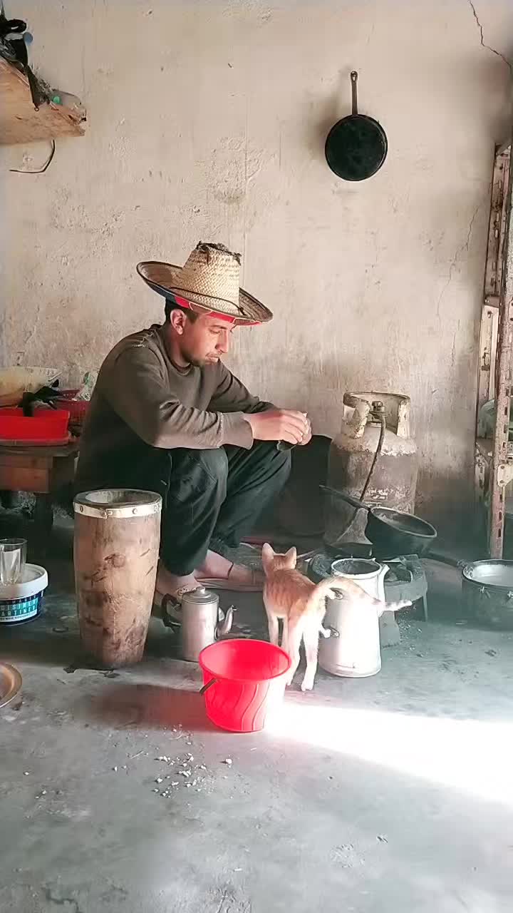@ايوب جونيمار