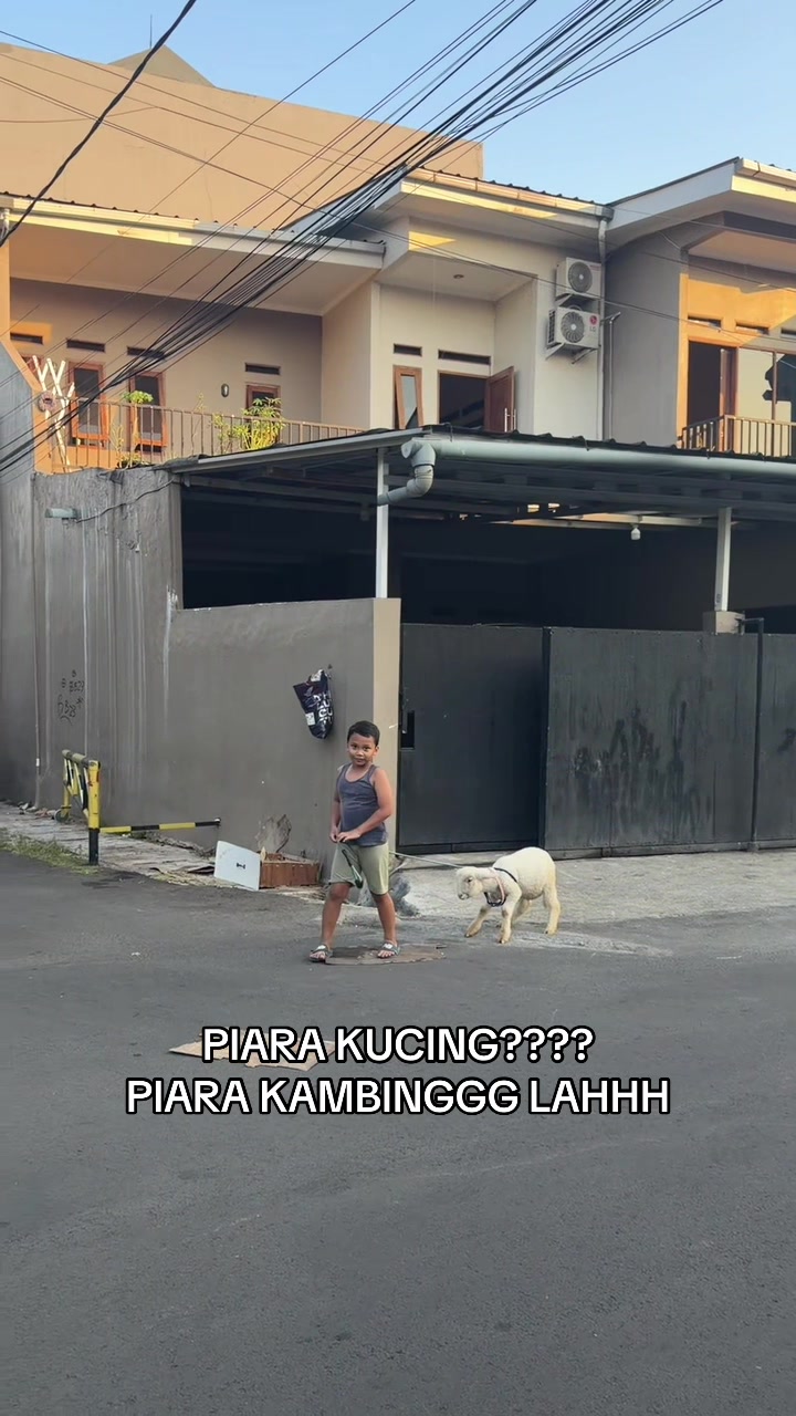 @OLDAP PAKE P