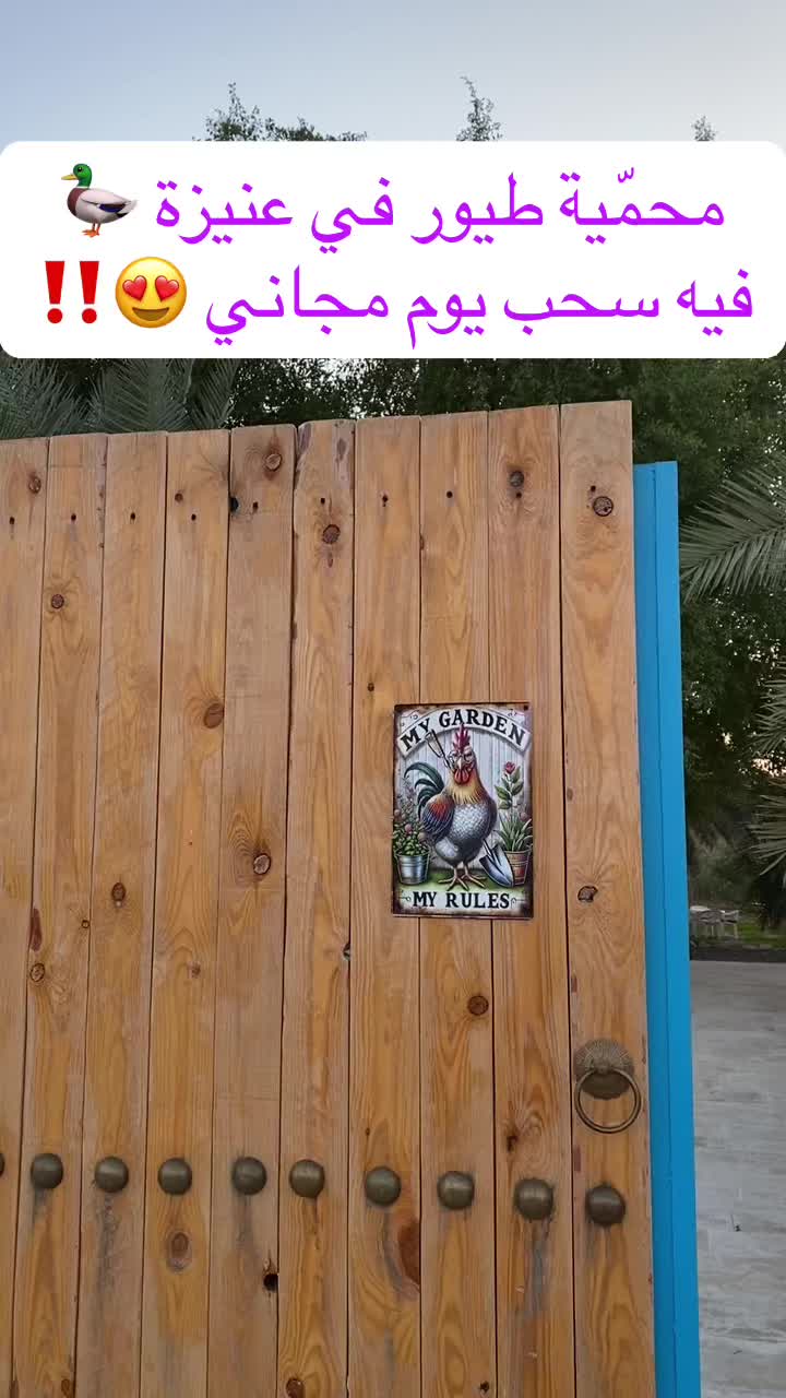 @د.كَادي 🤍