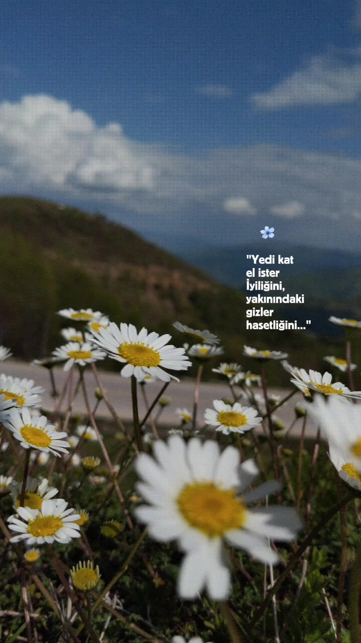 @Merveyeşer