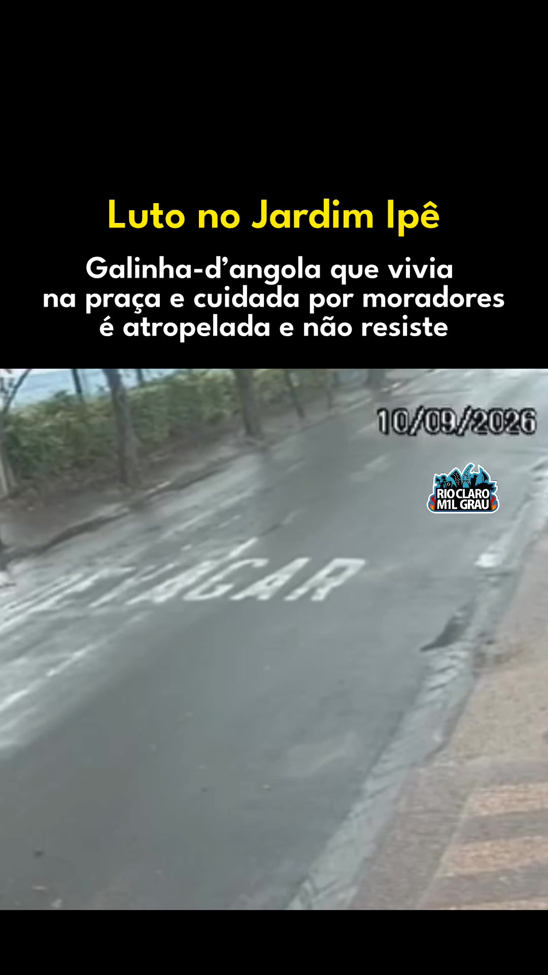 @Rio Claro Mil Grau