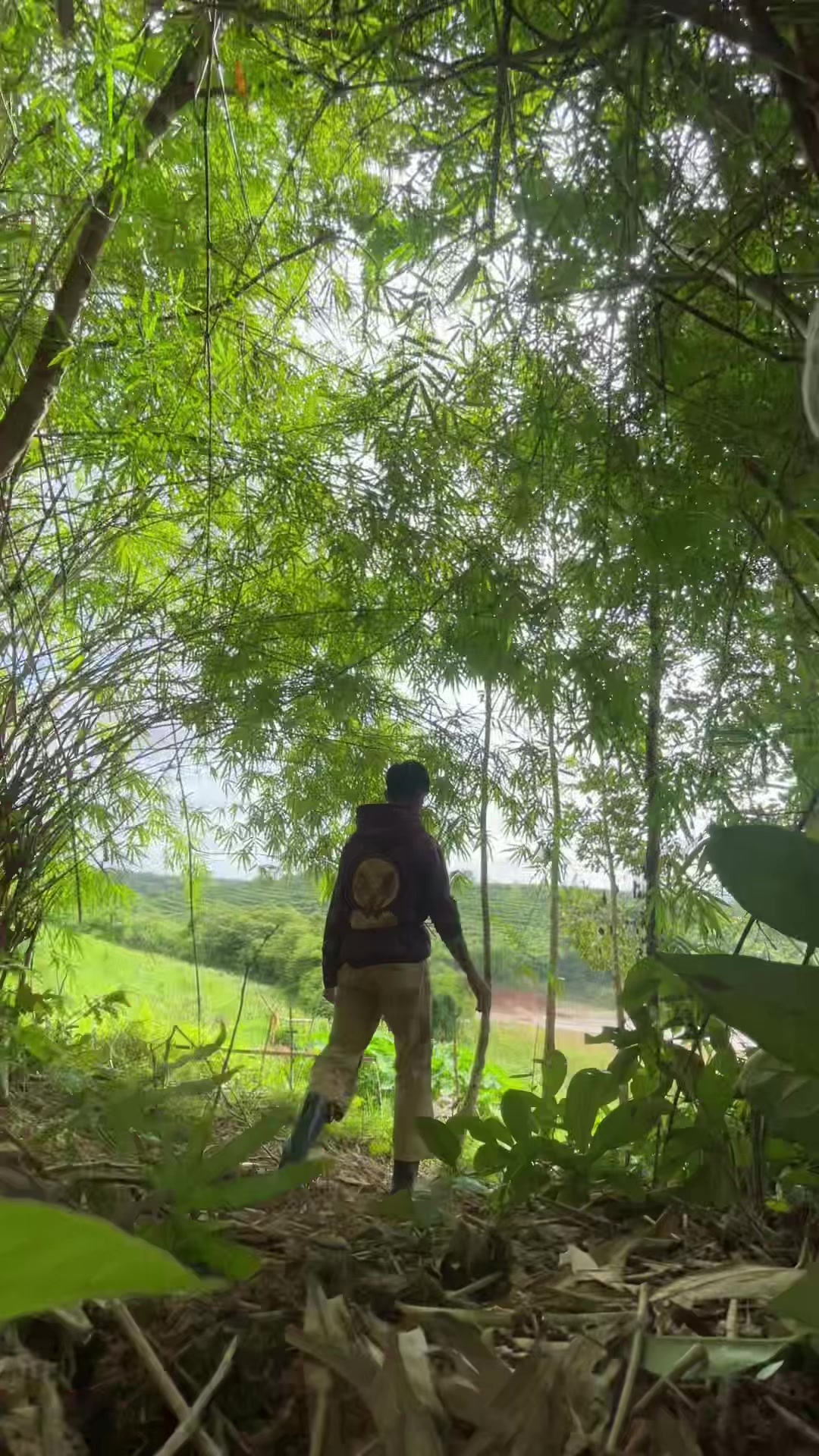 @Ku Đinh