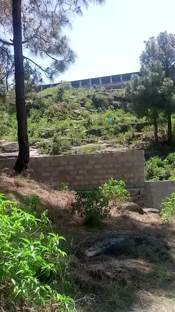 @Raja_kashi444
