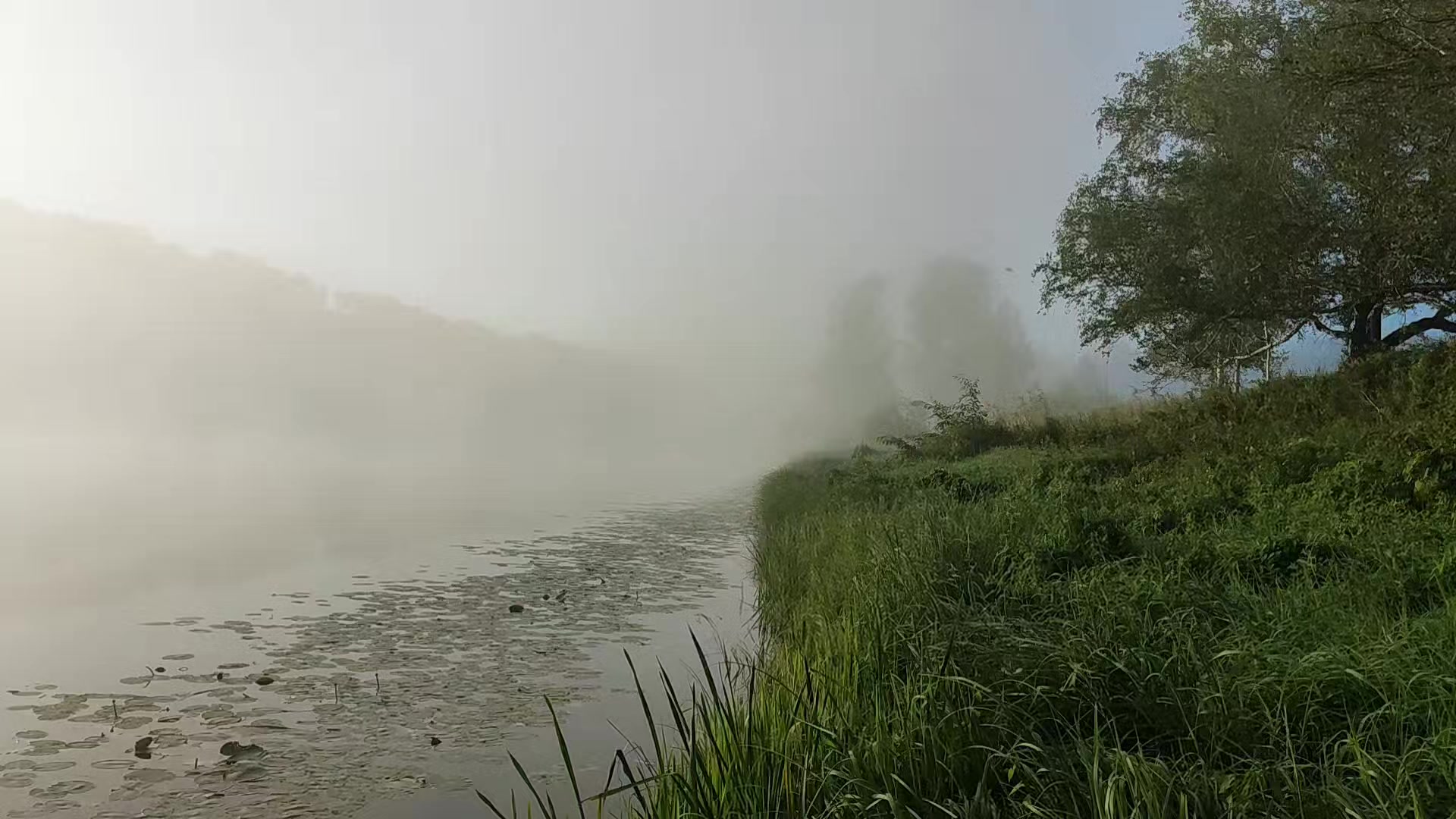 @НЕ САХАР