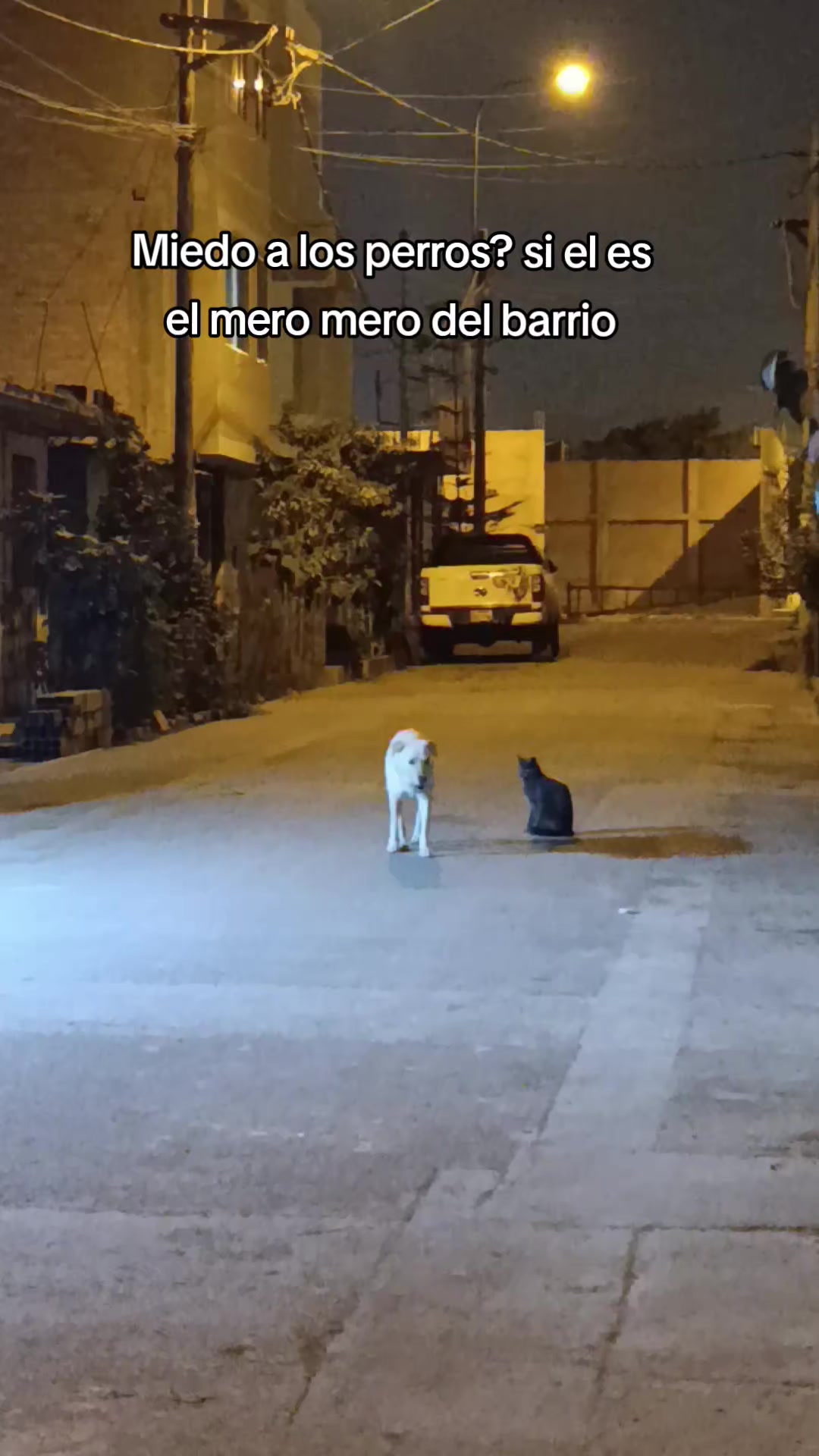 @FiyoPio
