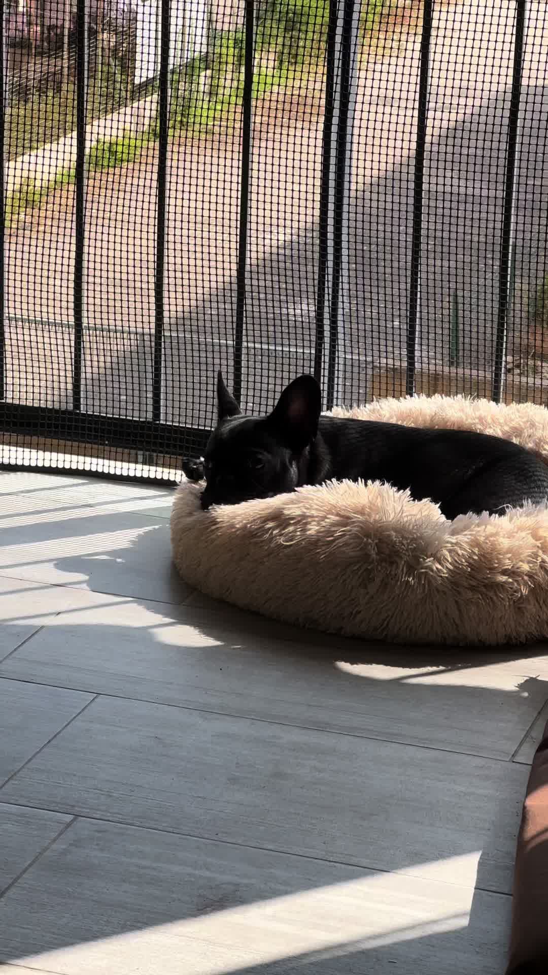 @Bullo_mal&ugrave;