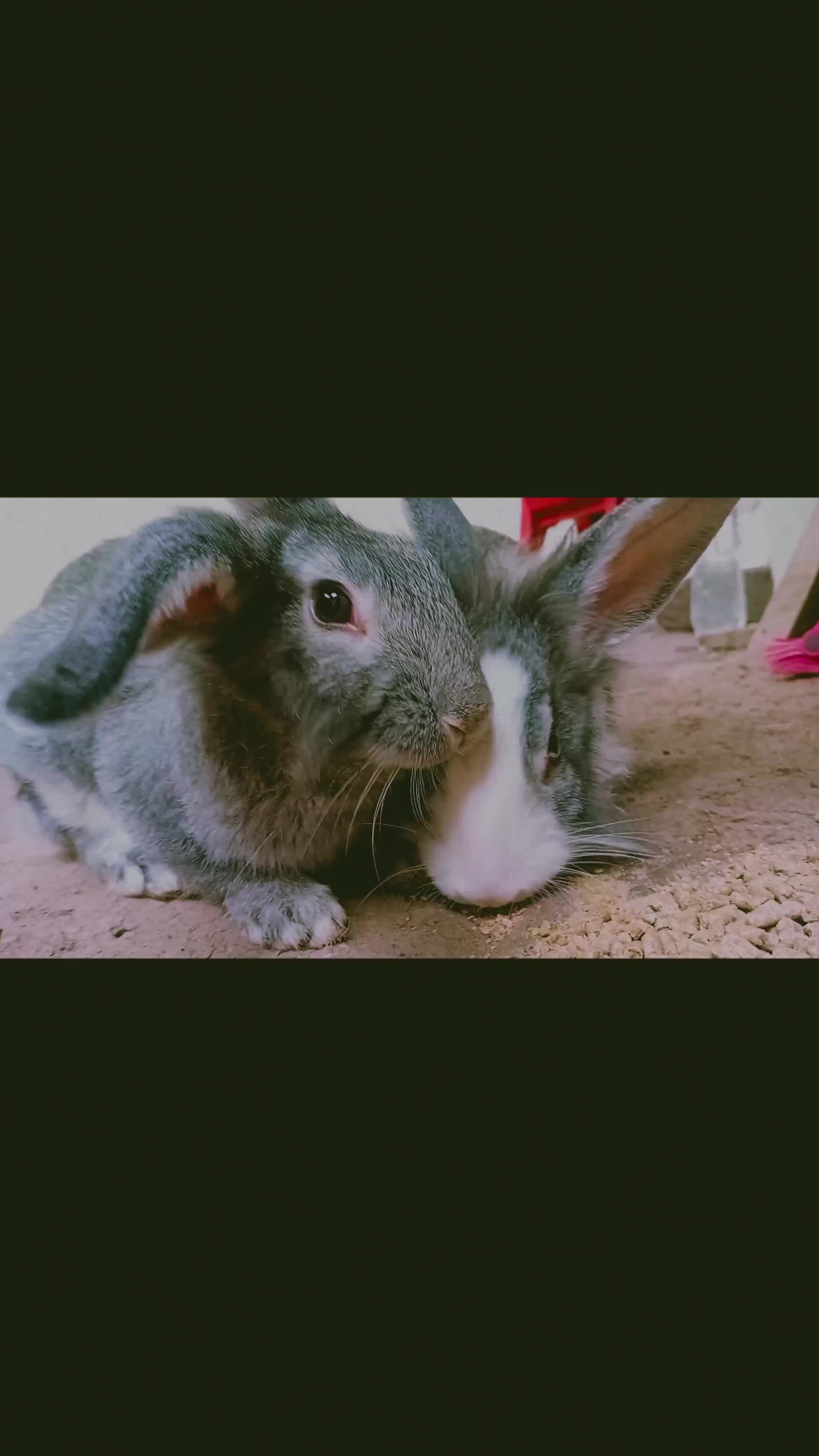 @๐S๐ฅฐ