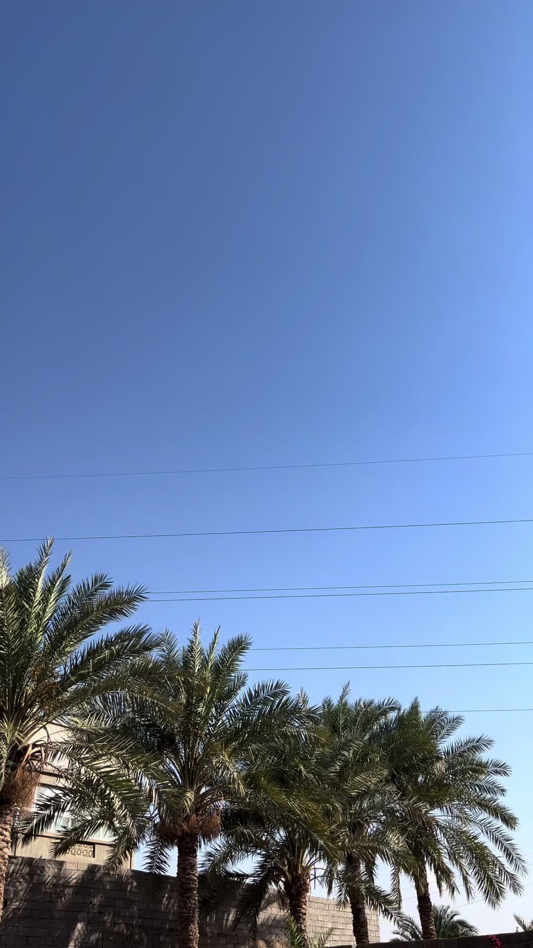 @لعبيد الفاندي🇩🇪544i🇩🇪🥇