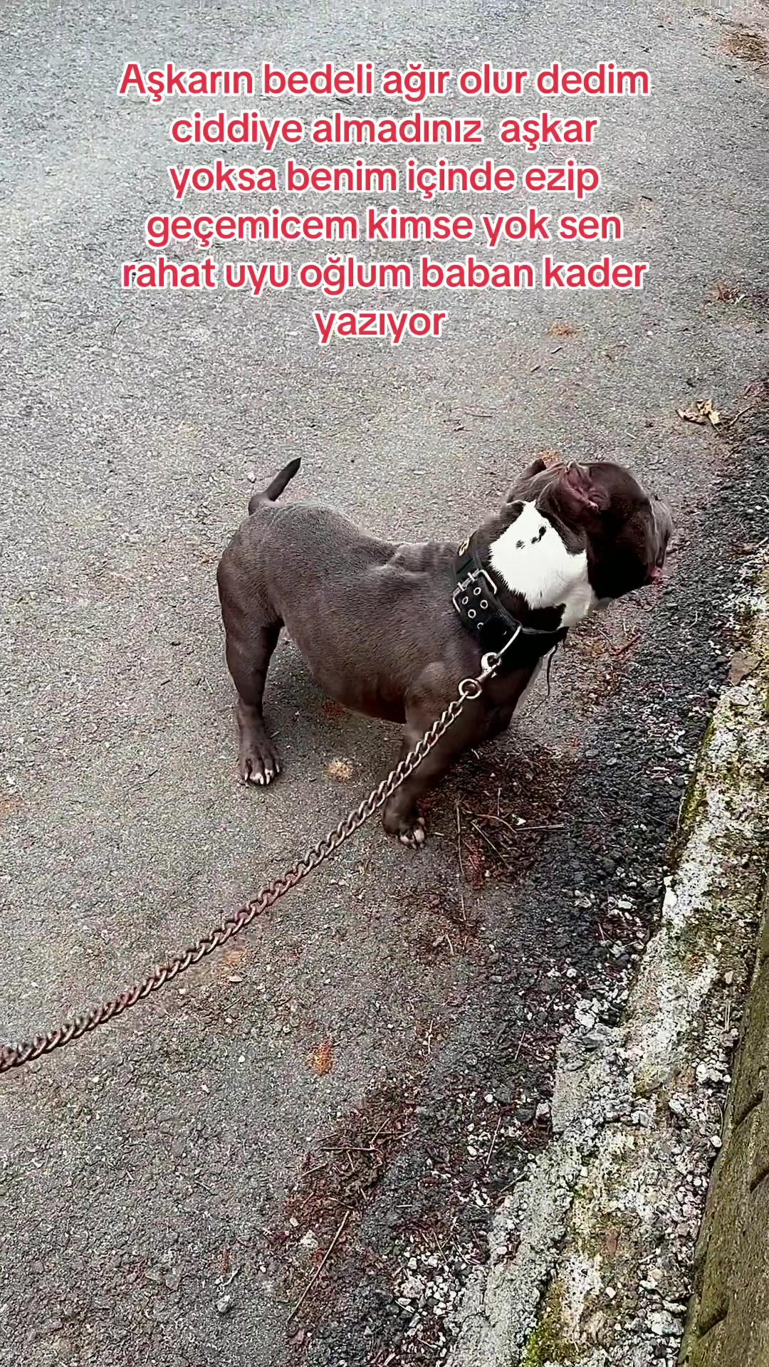 @🅰️ŞKAR🥀🪦