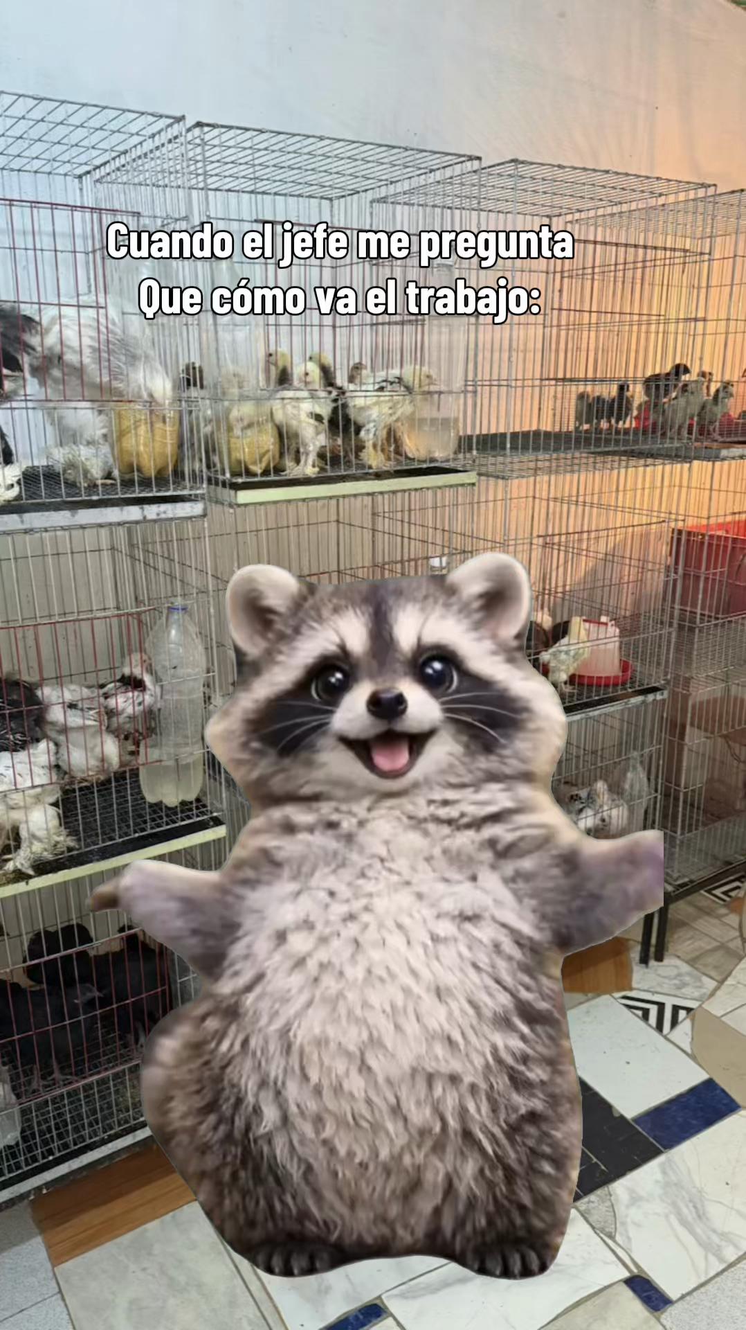 @Granjamascotalandiayaracuy