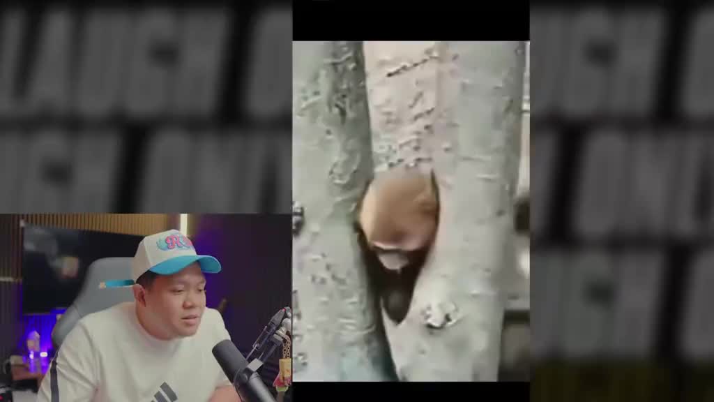 @bangviee