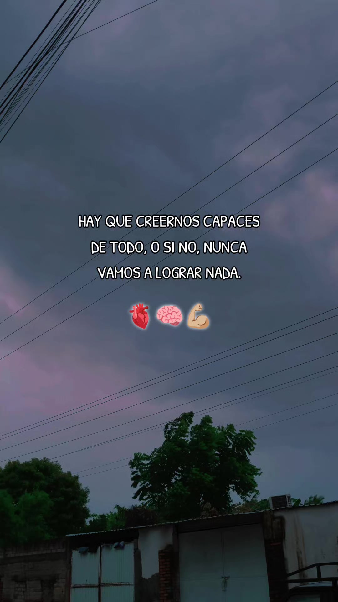 @Alondra González