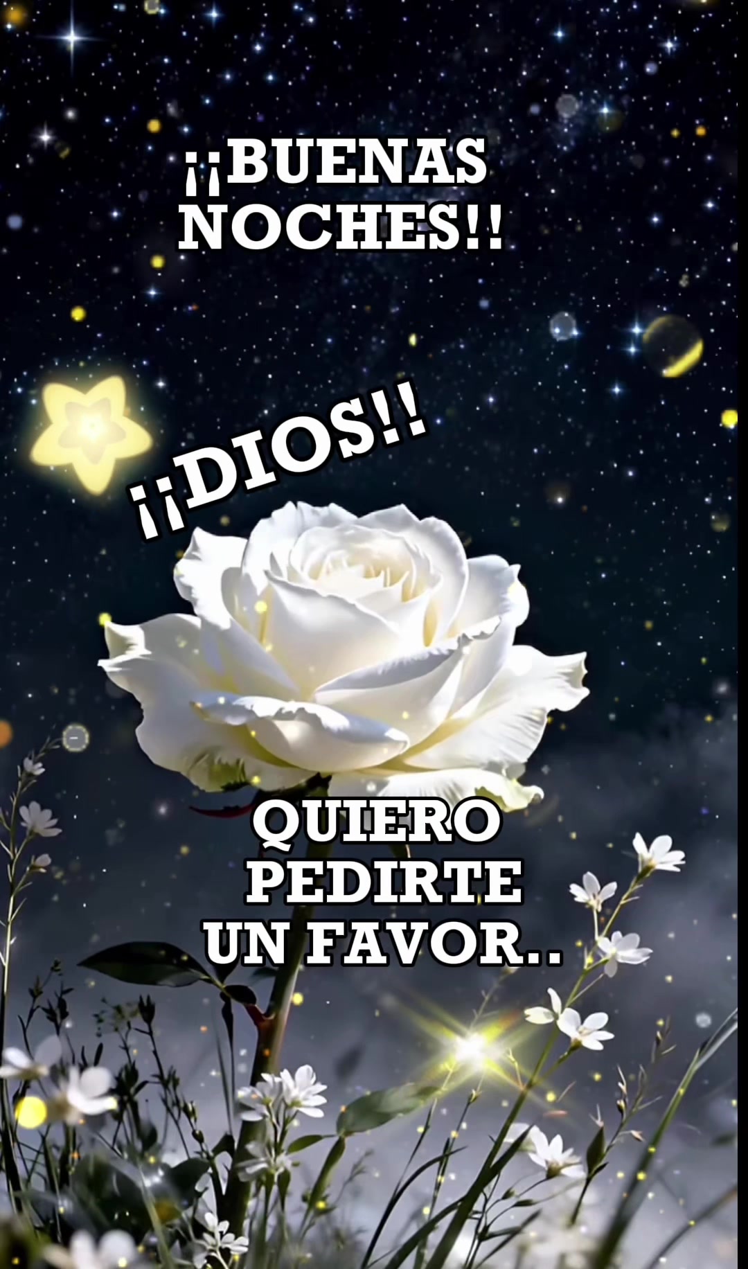@Palomalucia_24 Cuenta Oficial