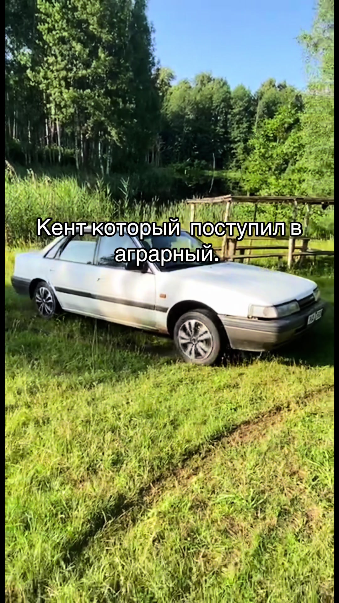 @🥷🏿🦊Та самая лисичка🦊🥷🏿
