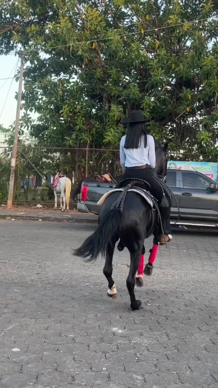 @𝑃𝑎𝑜𝑙𝑎 𝒮🌸