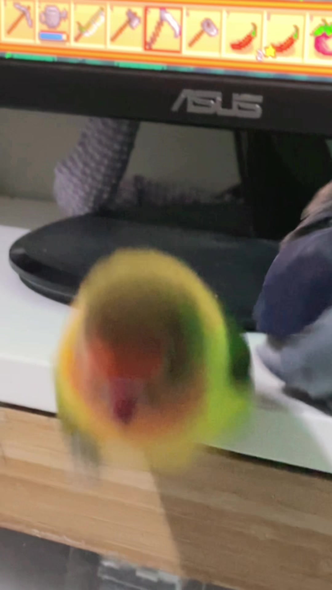 @Birdo and BB