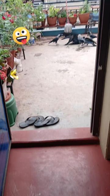 @Yashoda chhetri