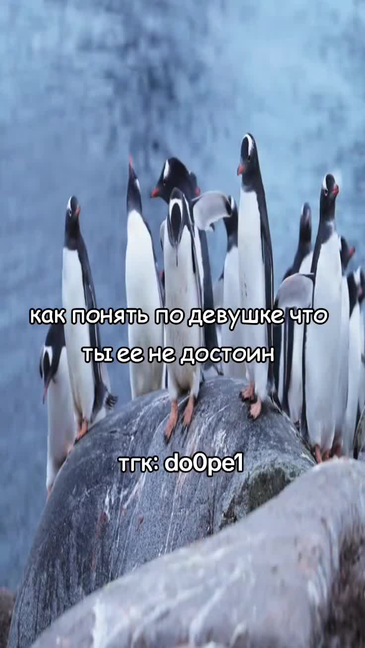 @dopee