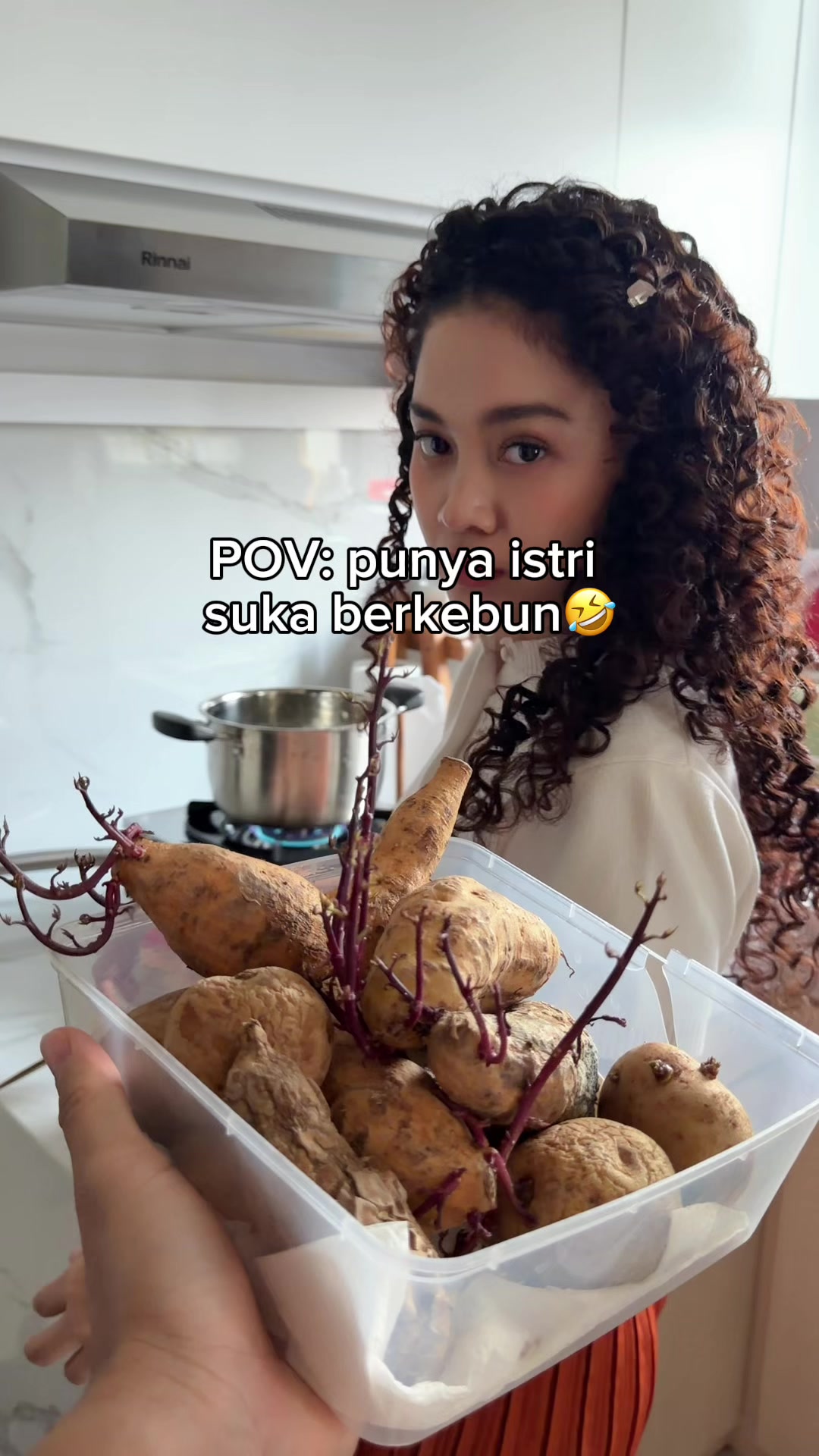 @Dims