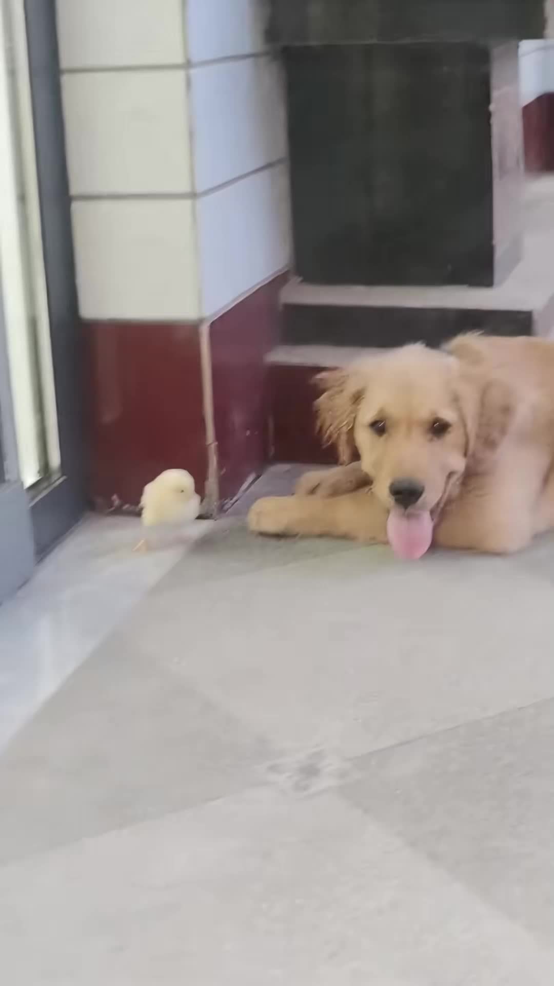 @cuteanimals472