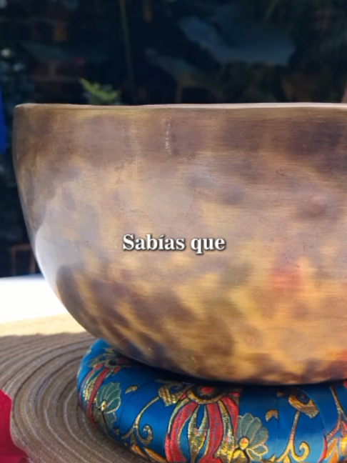 @Sentidos de la Vida
