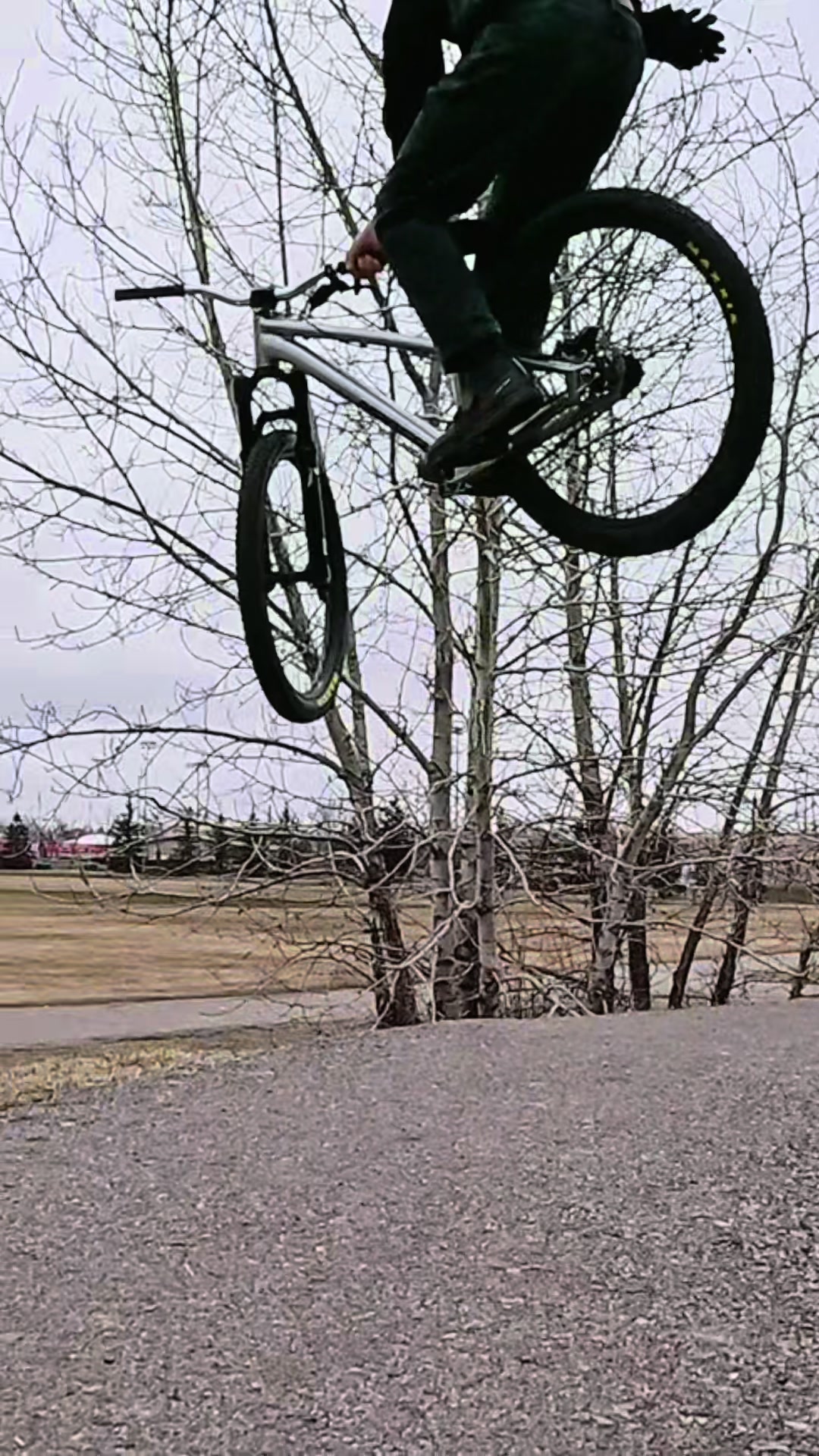@Ali🇨🇦🇬🇧on_HD6
