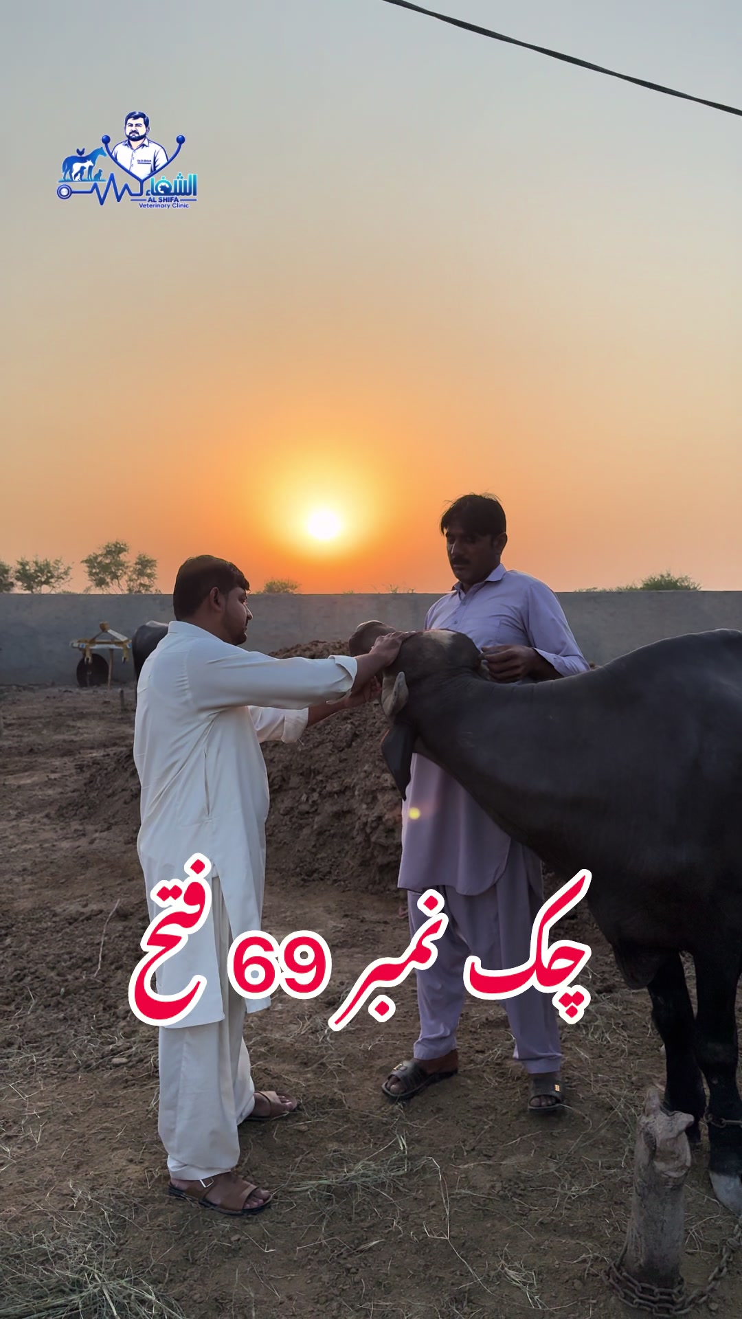 @Dr.Mohsin