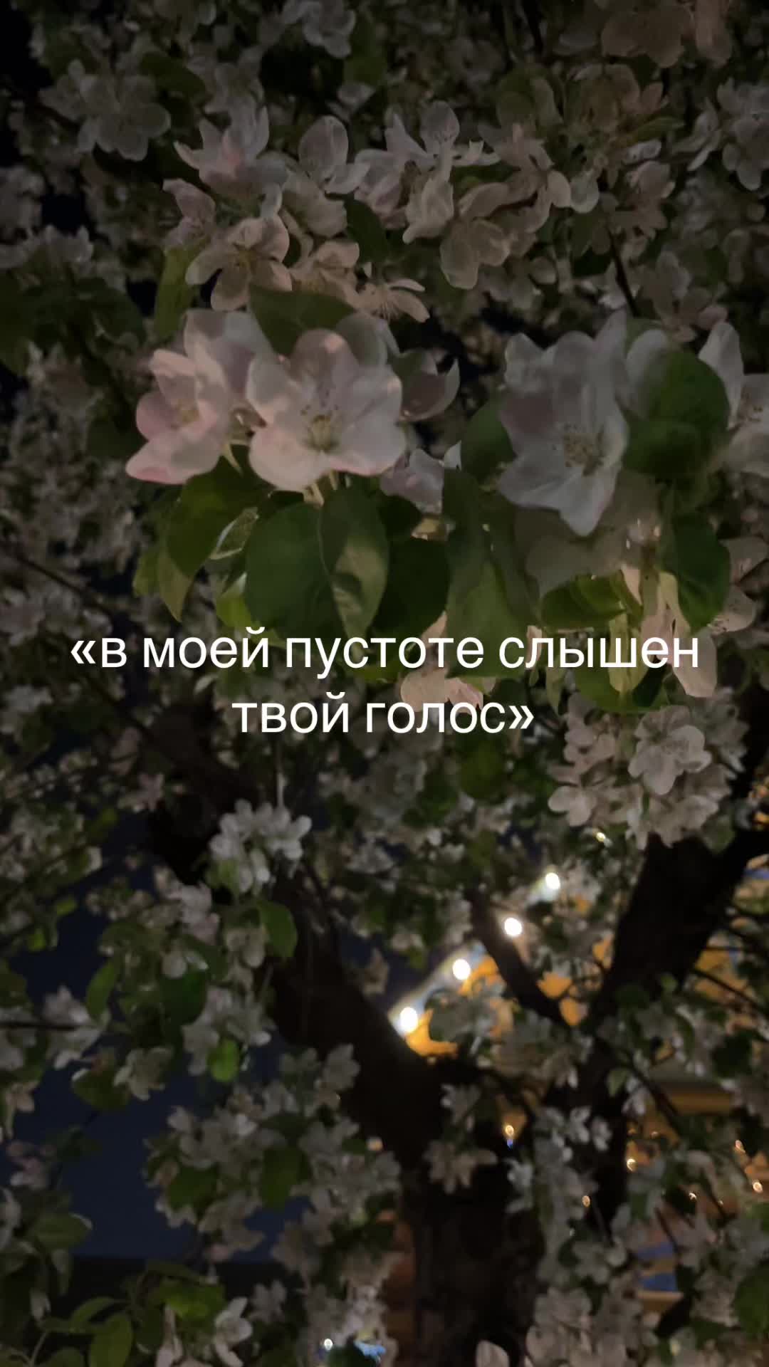 @kriswty