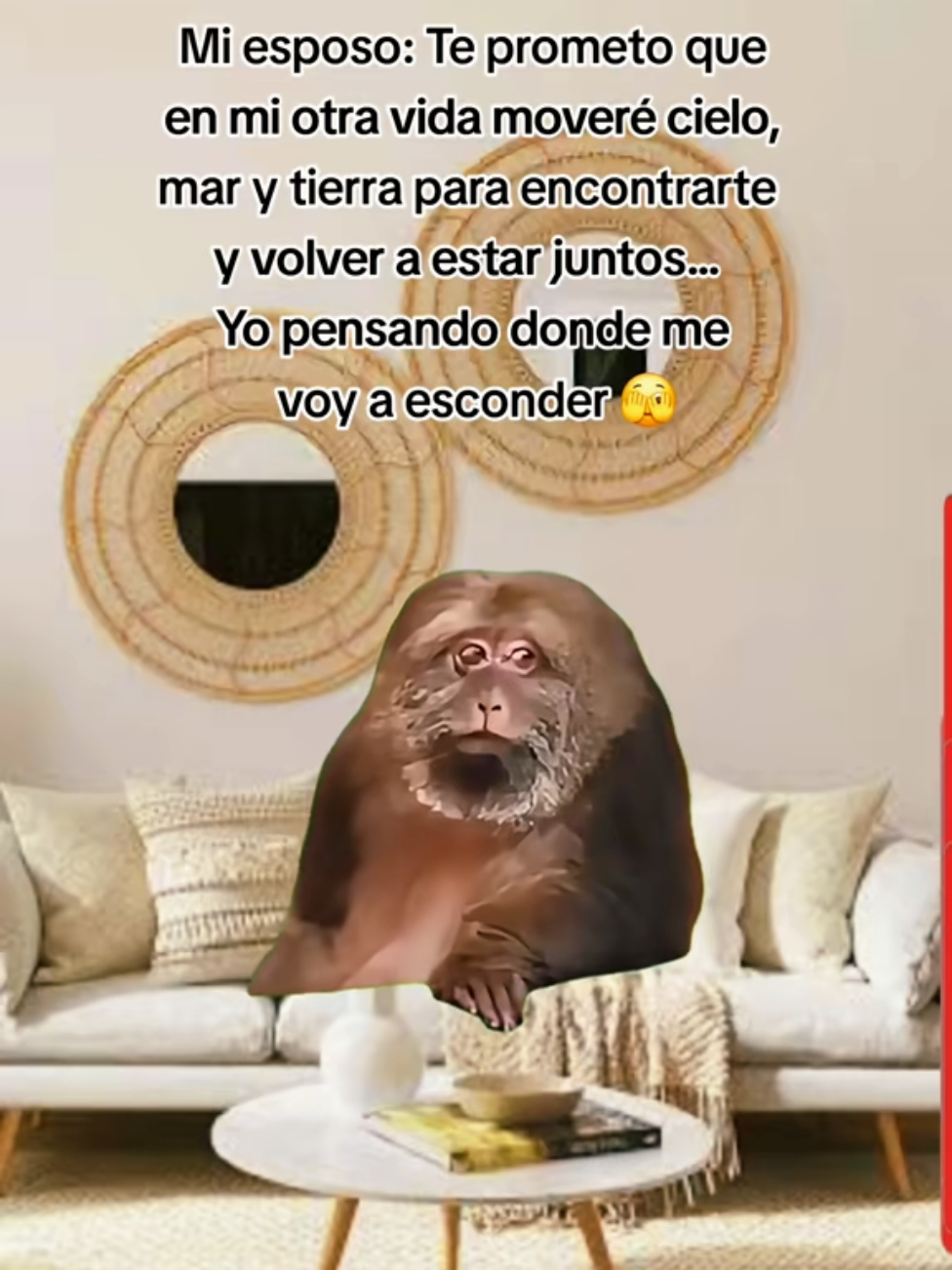 @Erikaruizeza