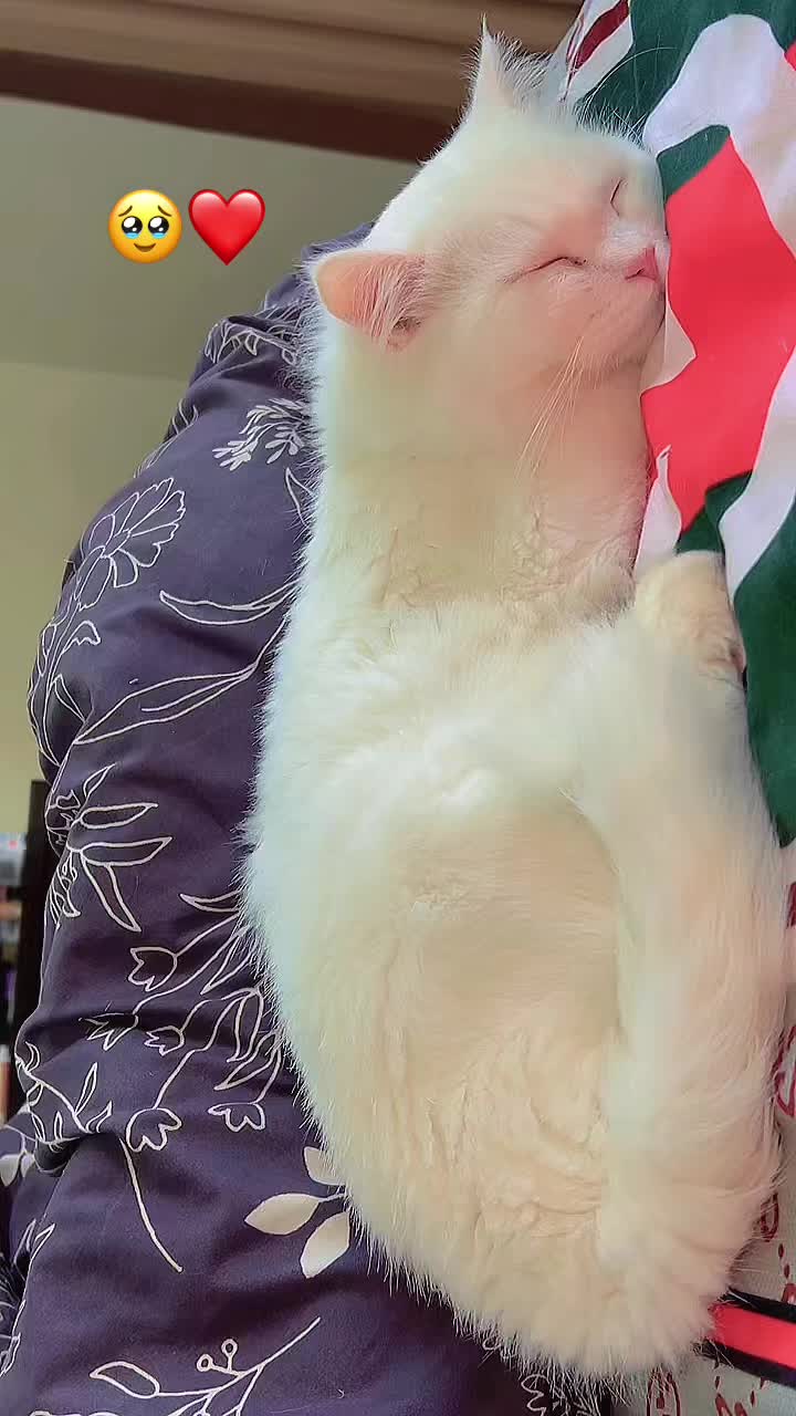 @𝐒𝐚ح𝐢𝐛𝐚♡︎