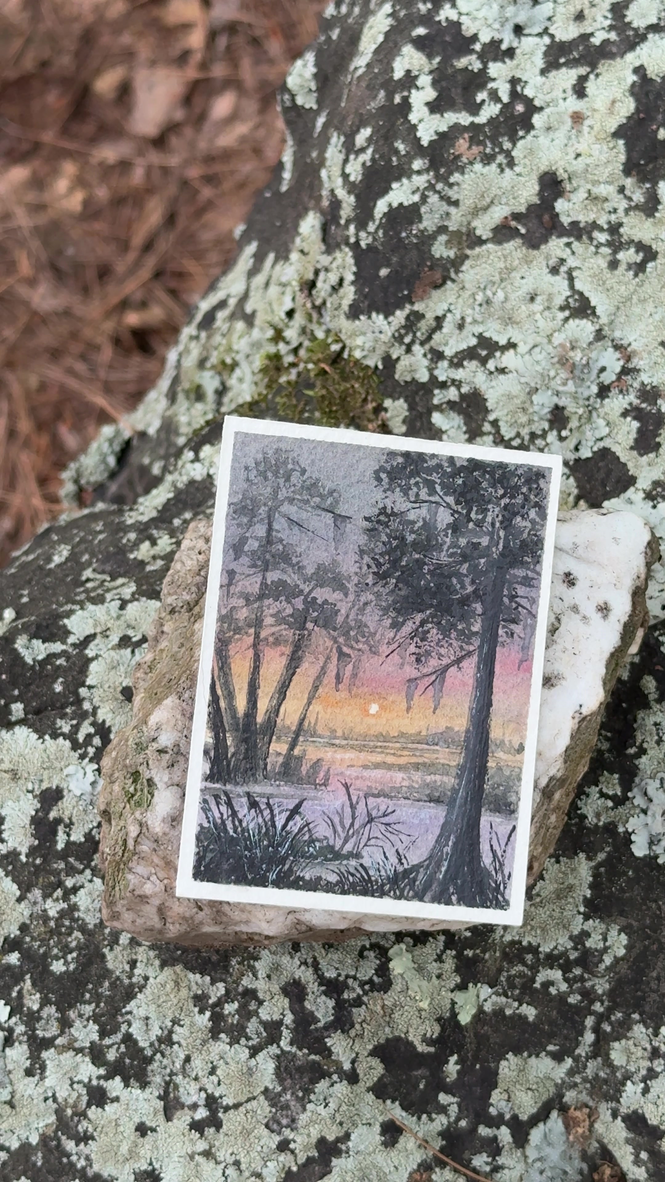 @Lark Watercolor & Art