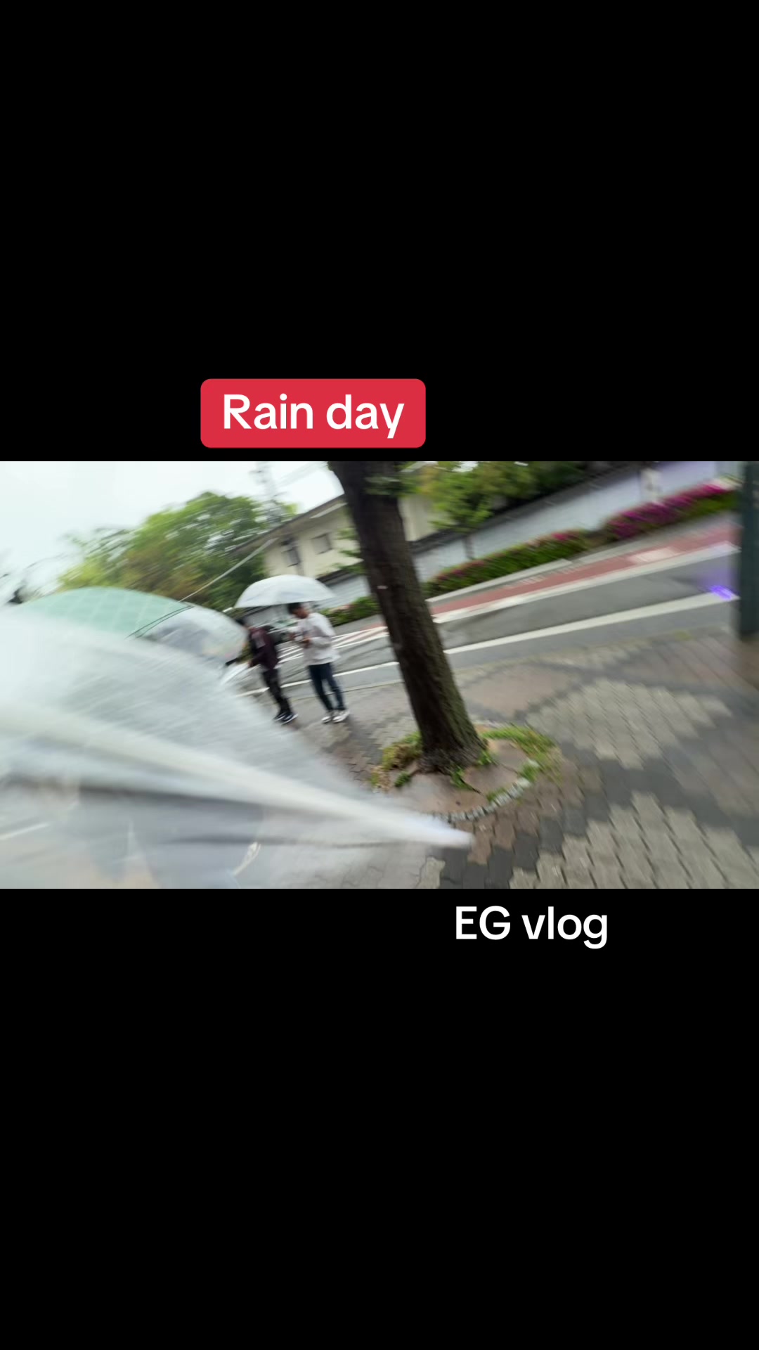 @EG VLOG