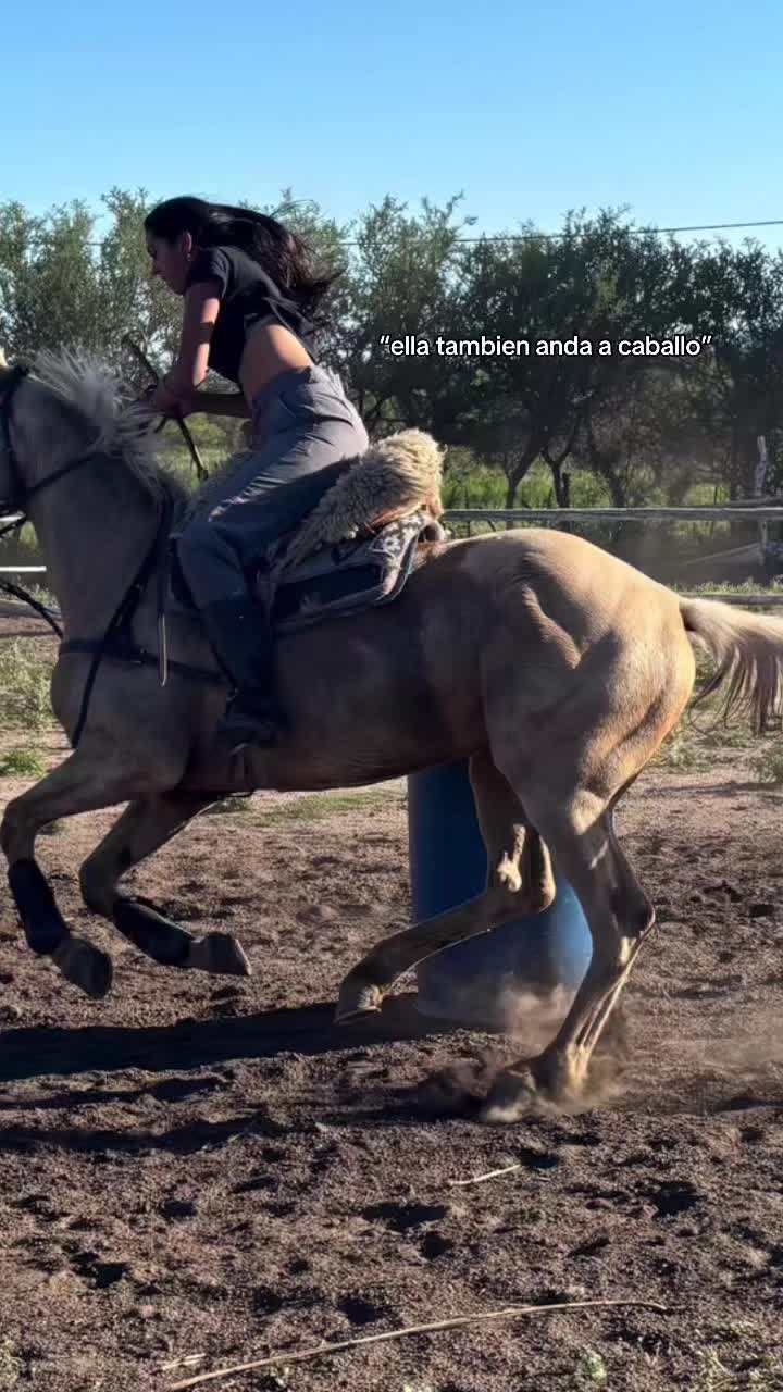 @luli.lazos7