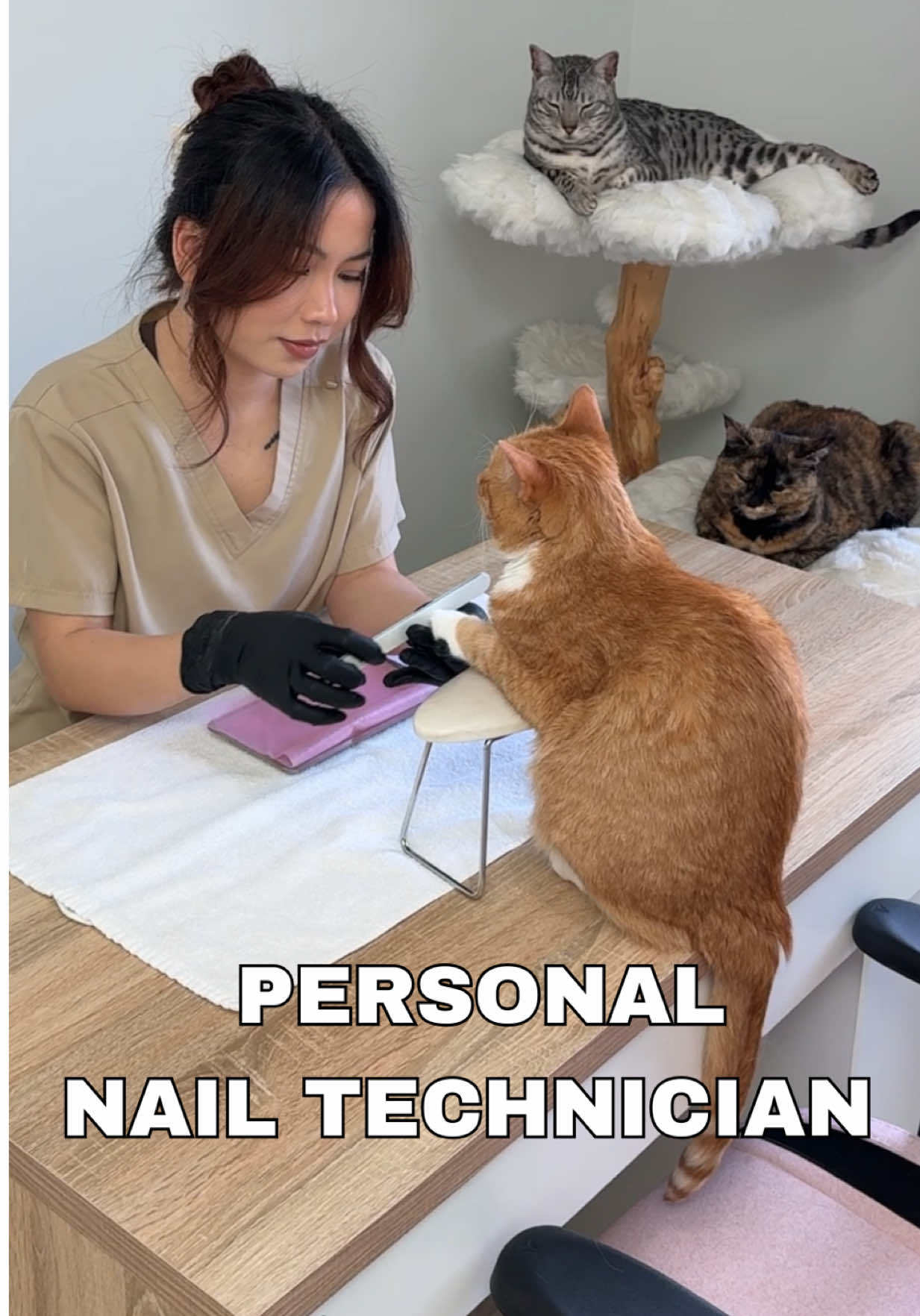 @Ginger, Pepper, & Cinnamon