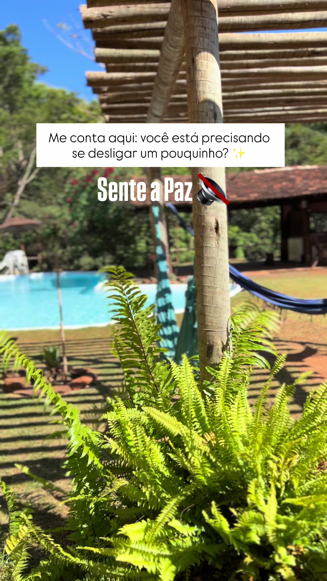 @Triângulo Aquapônico