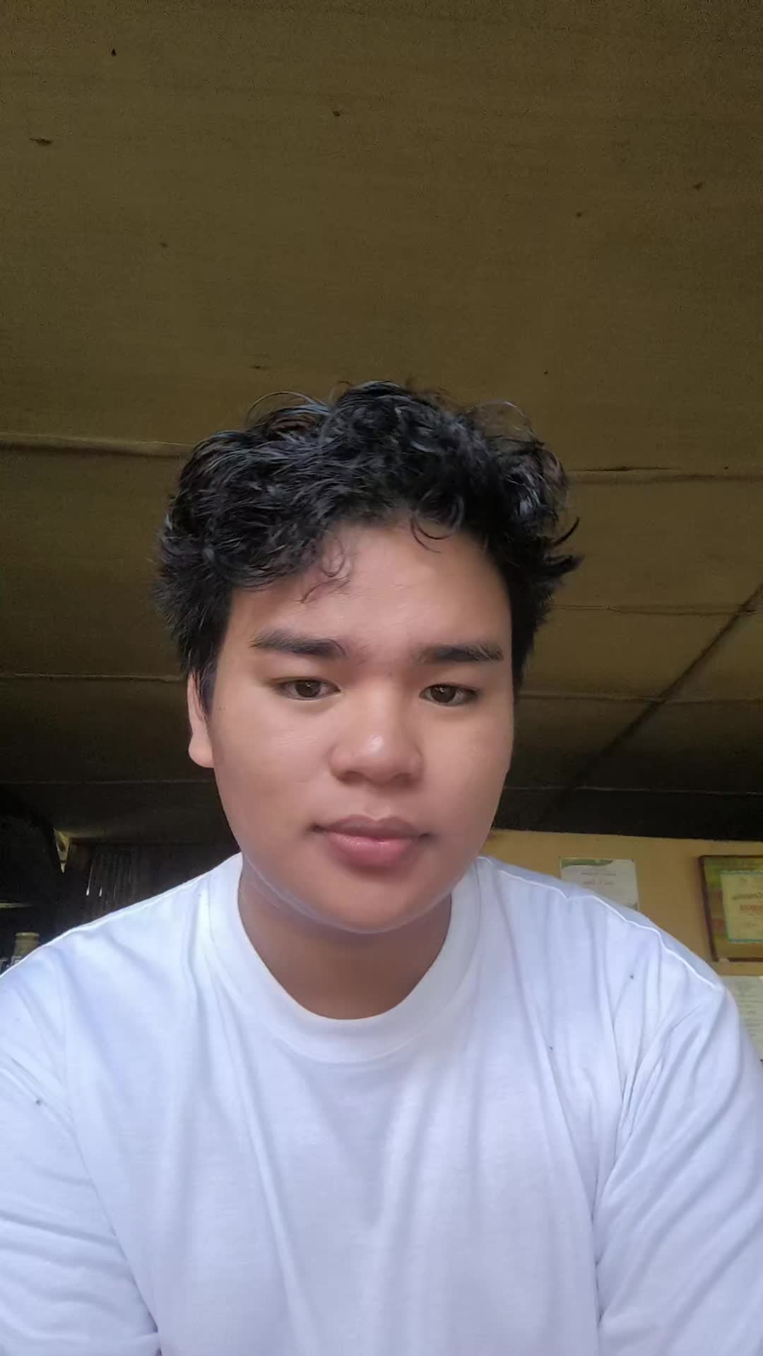 @pawfessor