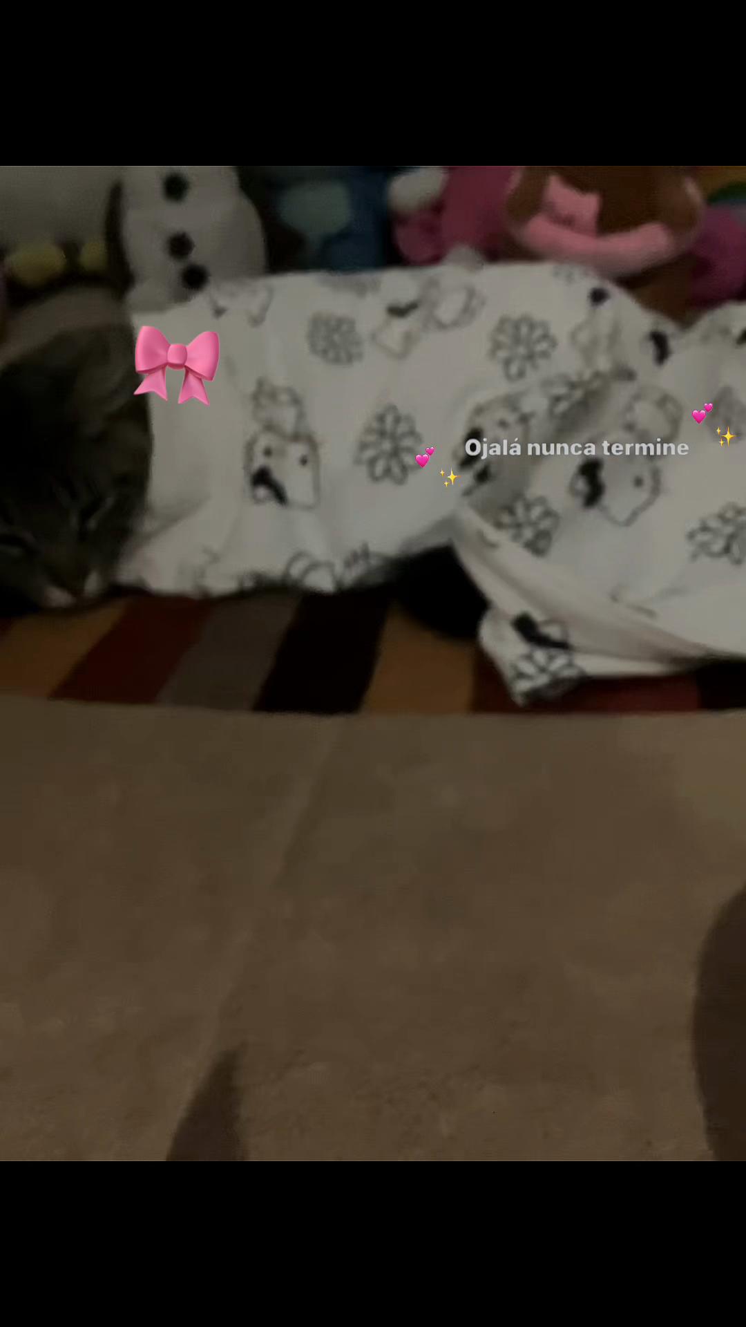 @_c_a_m_i_22🐚✨