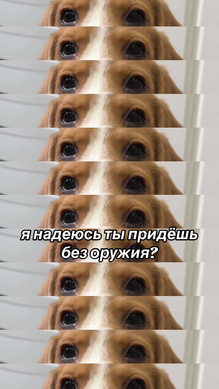 @тгк- ушастые псины