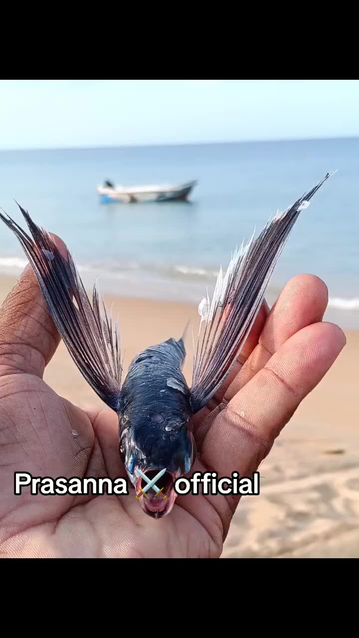 @prasanna