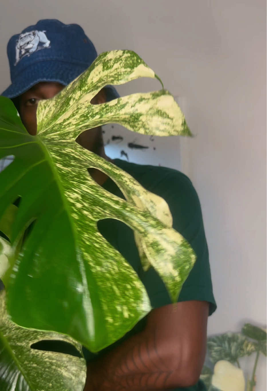 @Plant Deco ATL