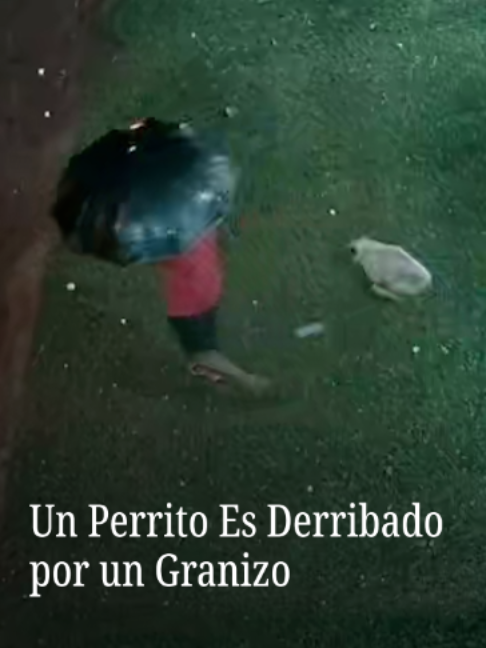@N+ UNIVISION