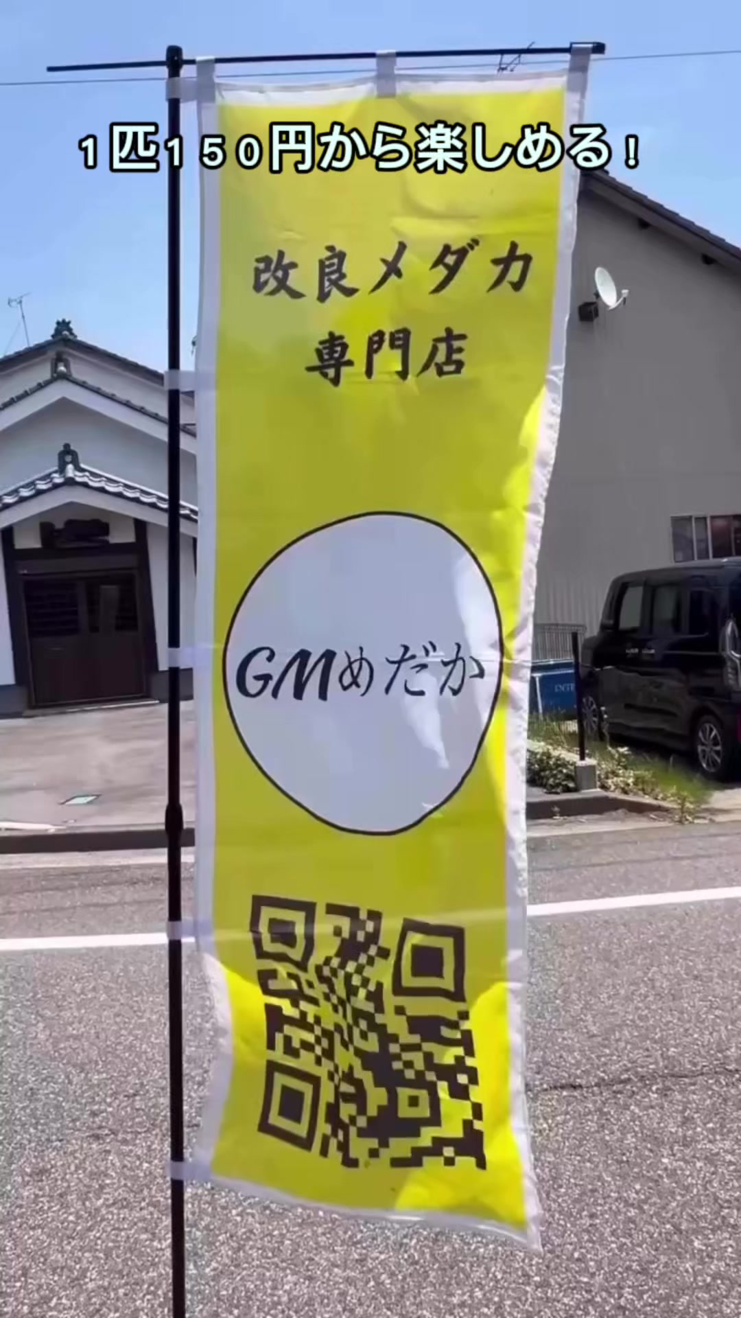 @gmmedaka.niigata