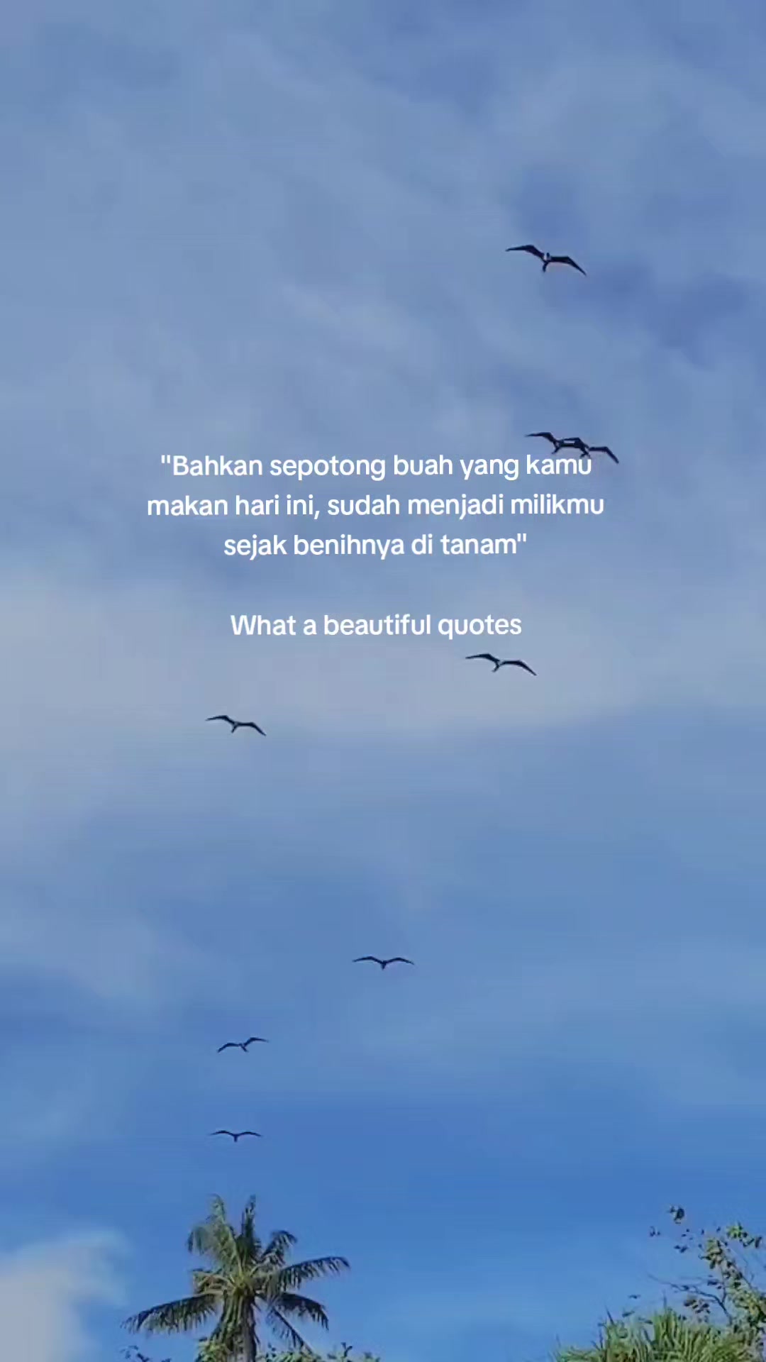 @Mizah