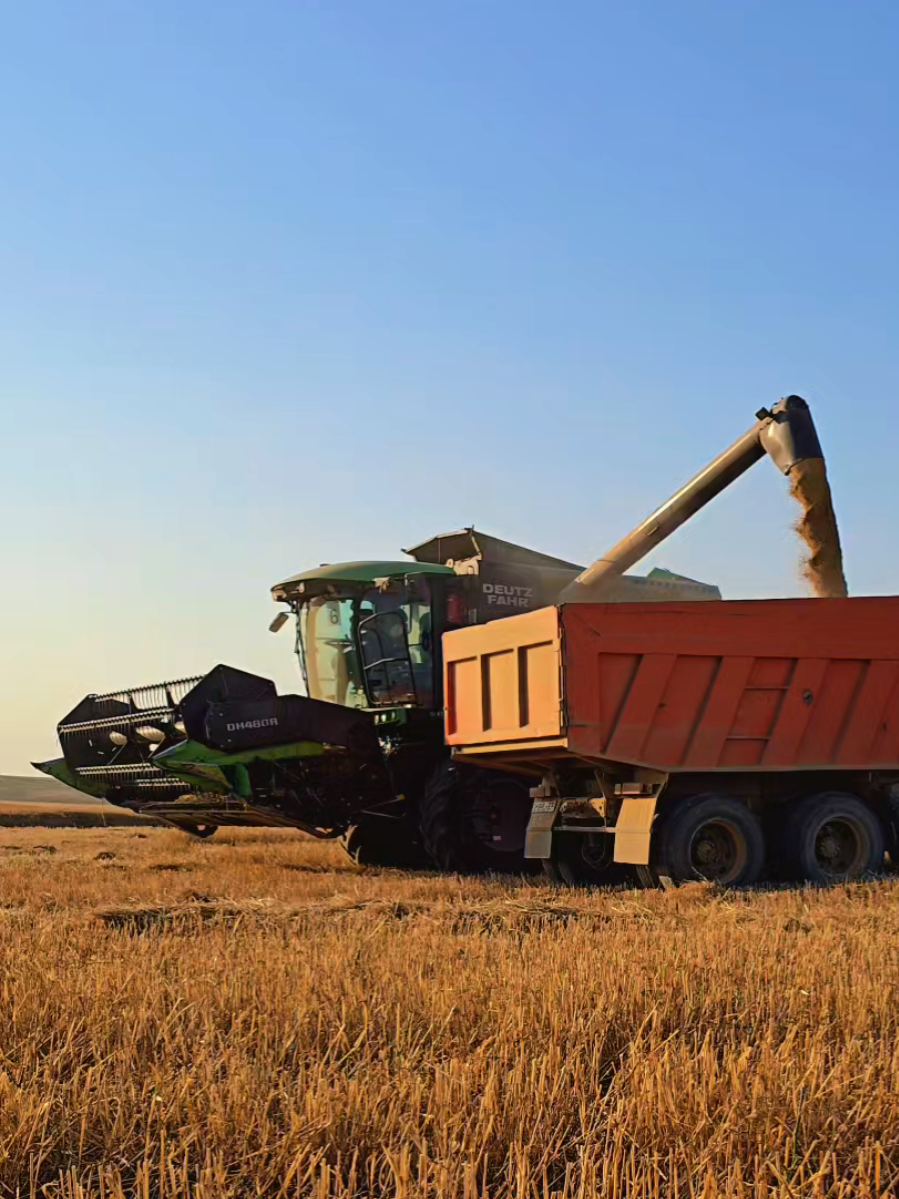 @Farmer ildırım