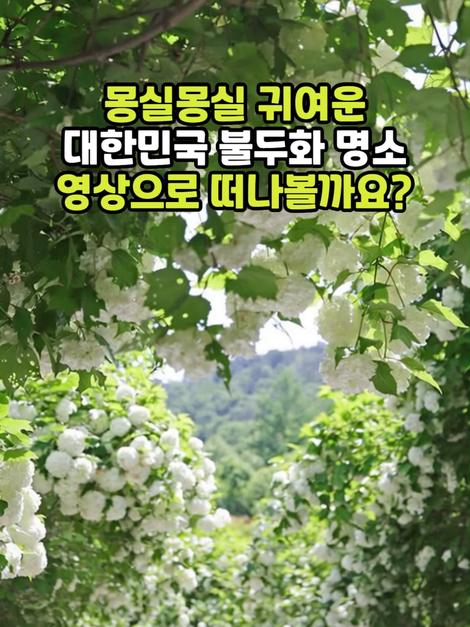 @꽃길
