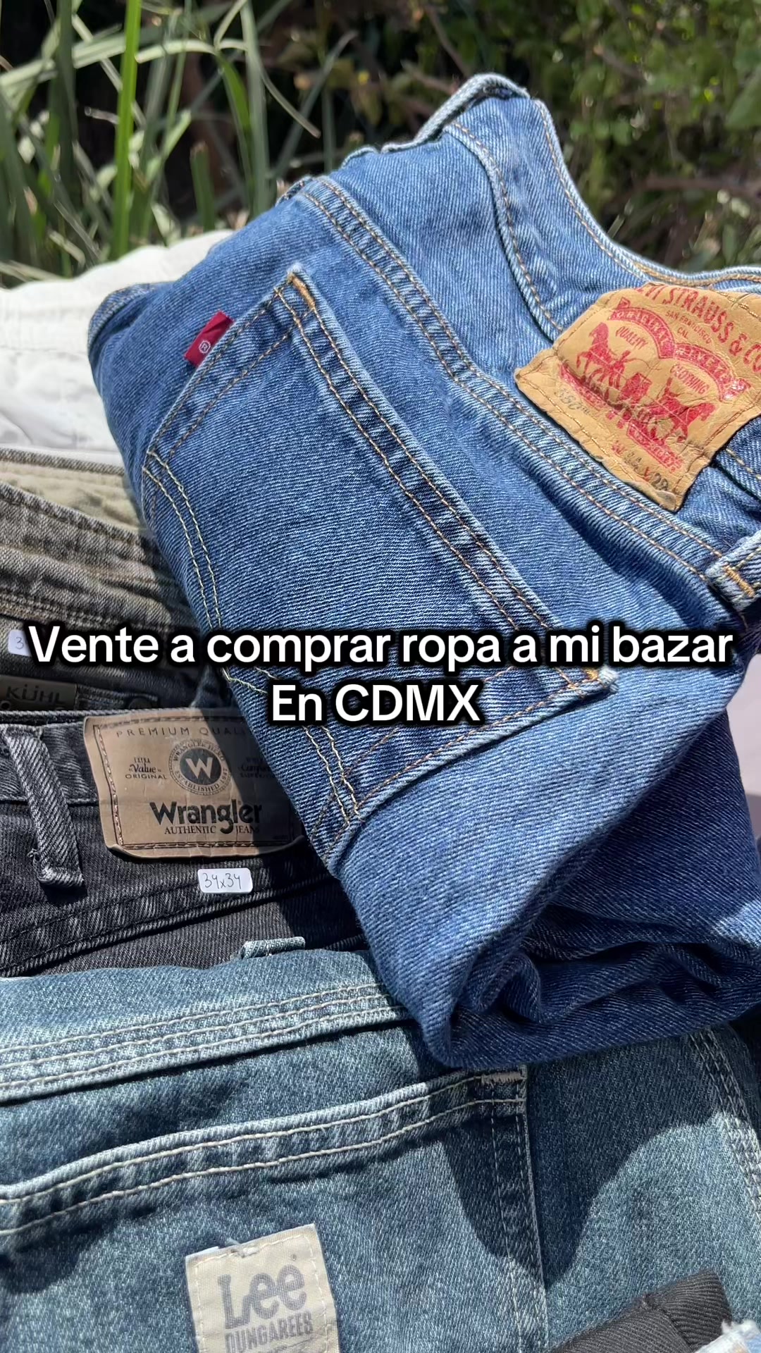 @manitadgmx